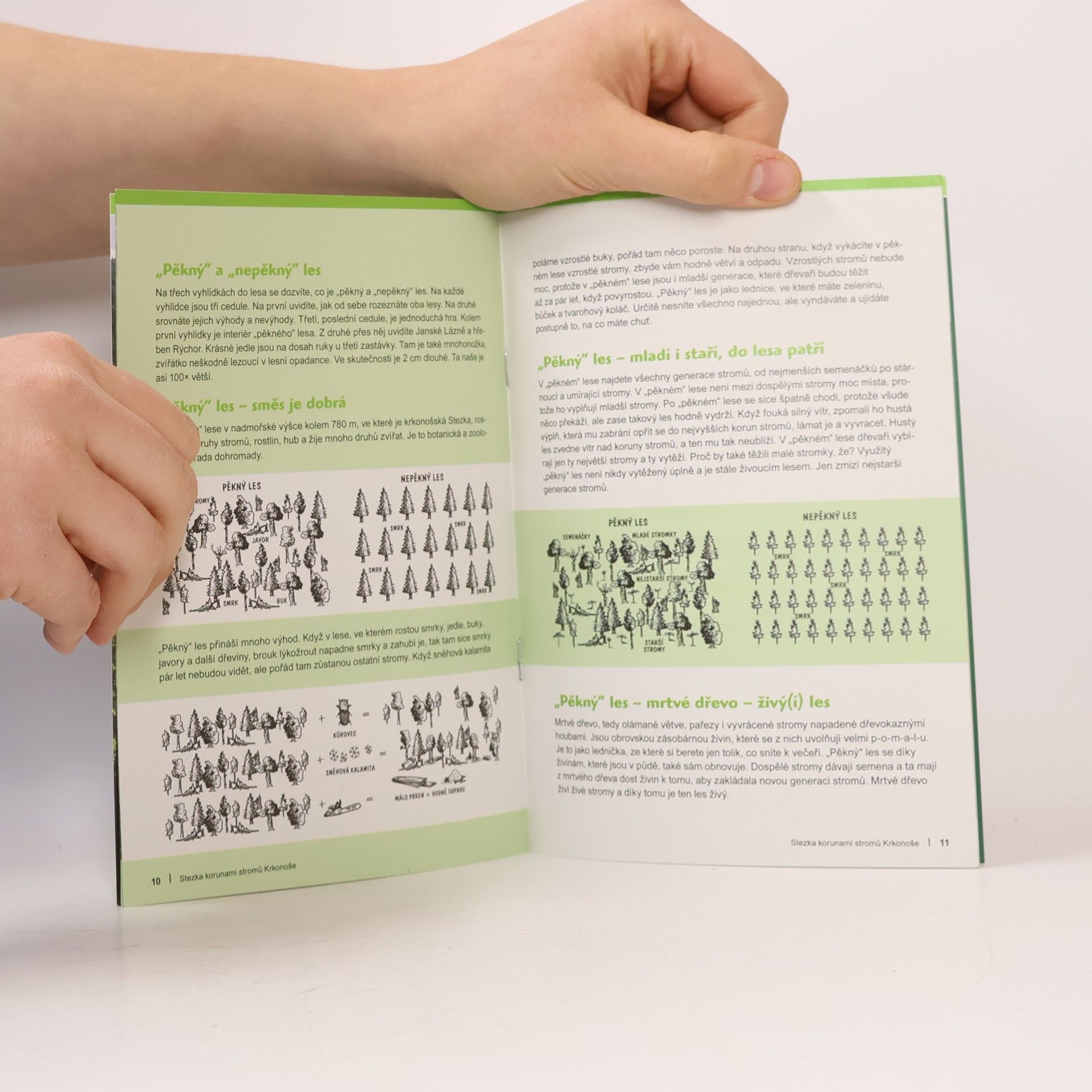 Various authors Stezka korunami stromů Krkonoše