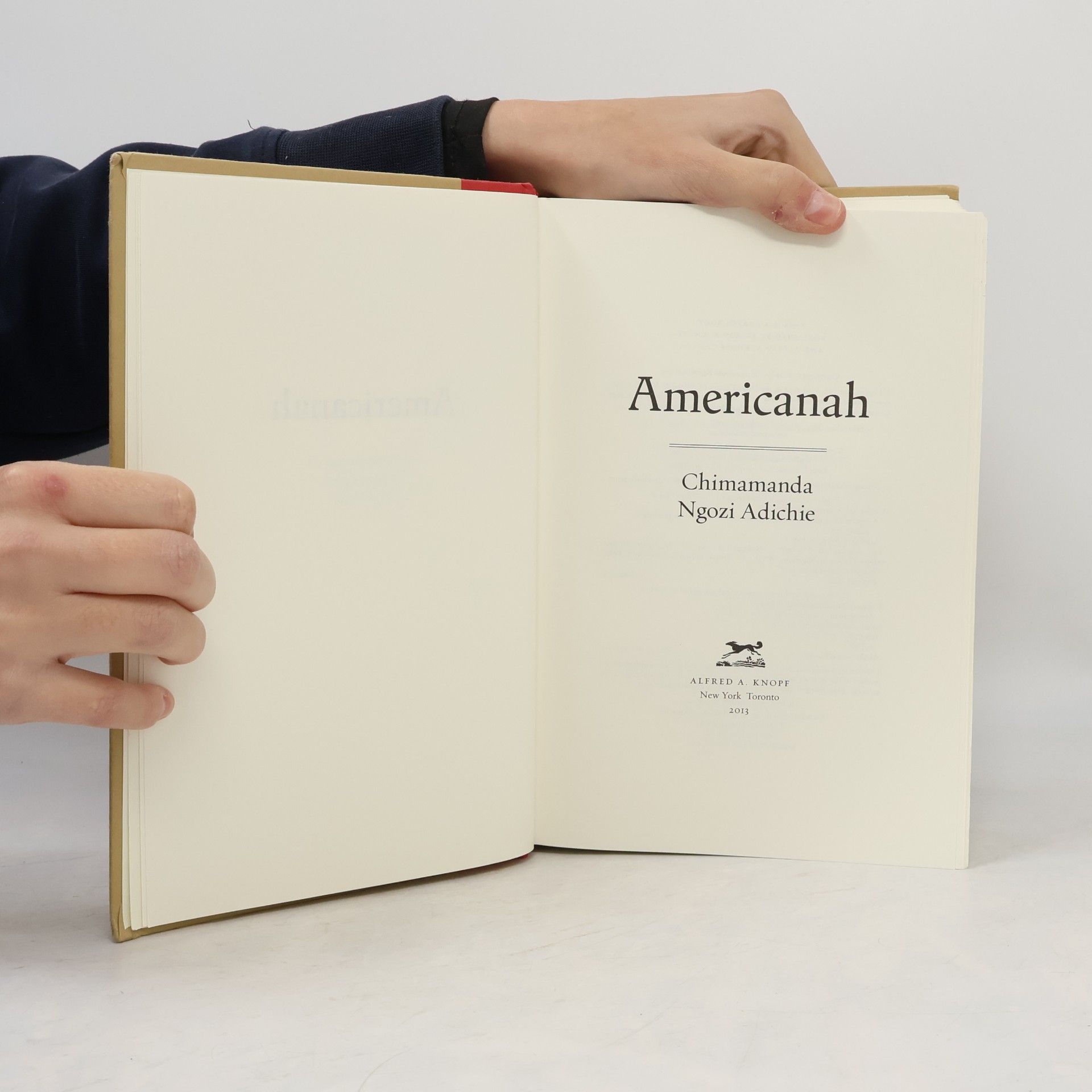 Chimamanda Ngozi Adichie Americanah
