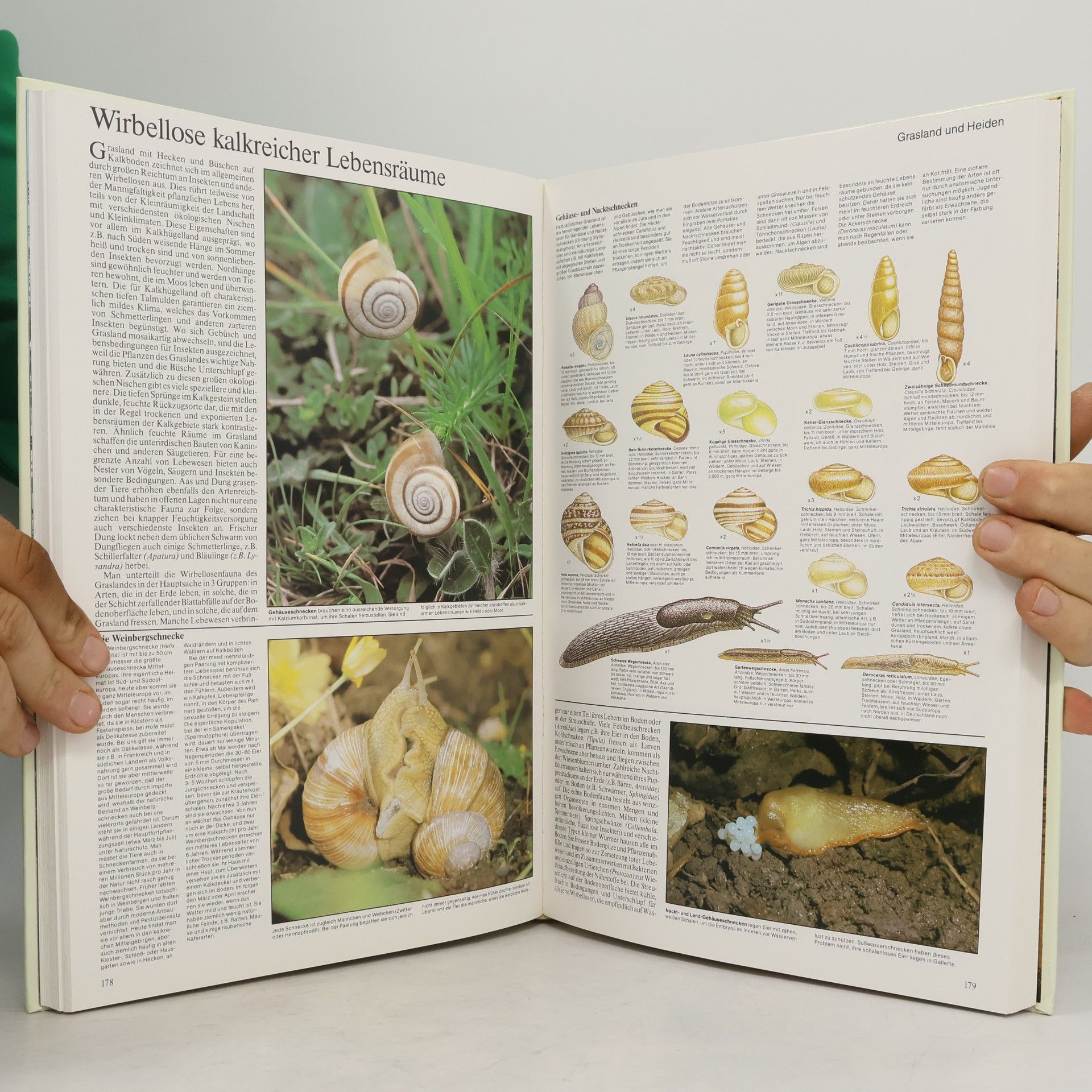 Autorenkollektiv Unsere Natur