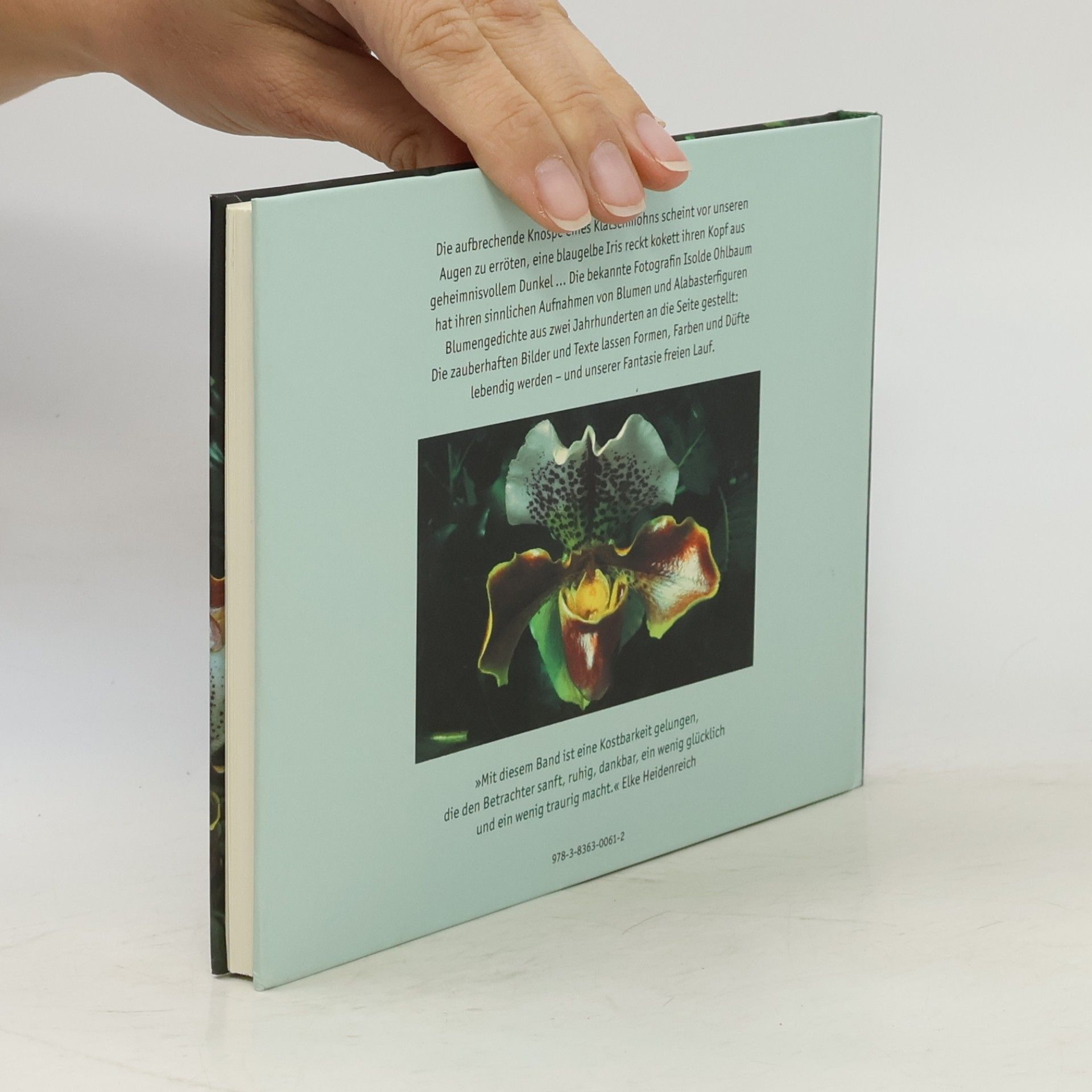 Isolde Ohlbaum Frau Faltermeiers Blumenladen