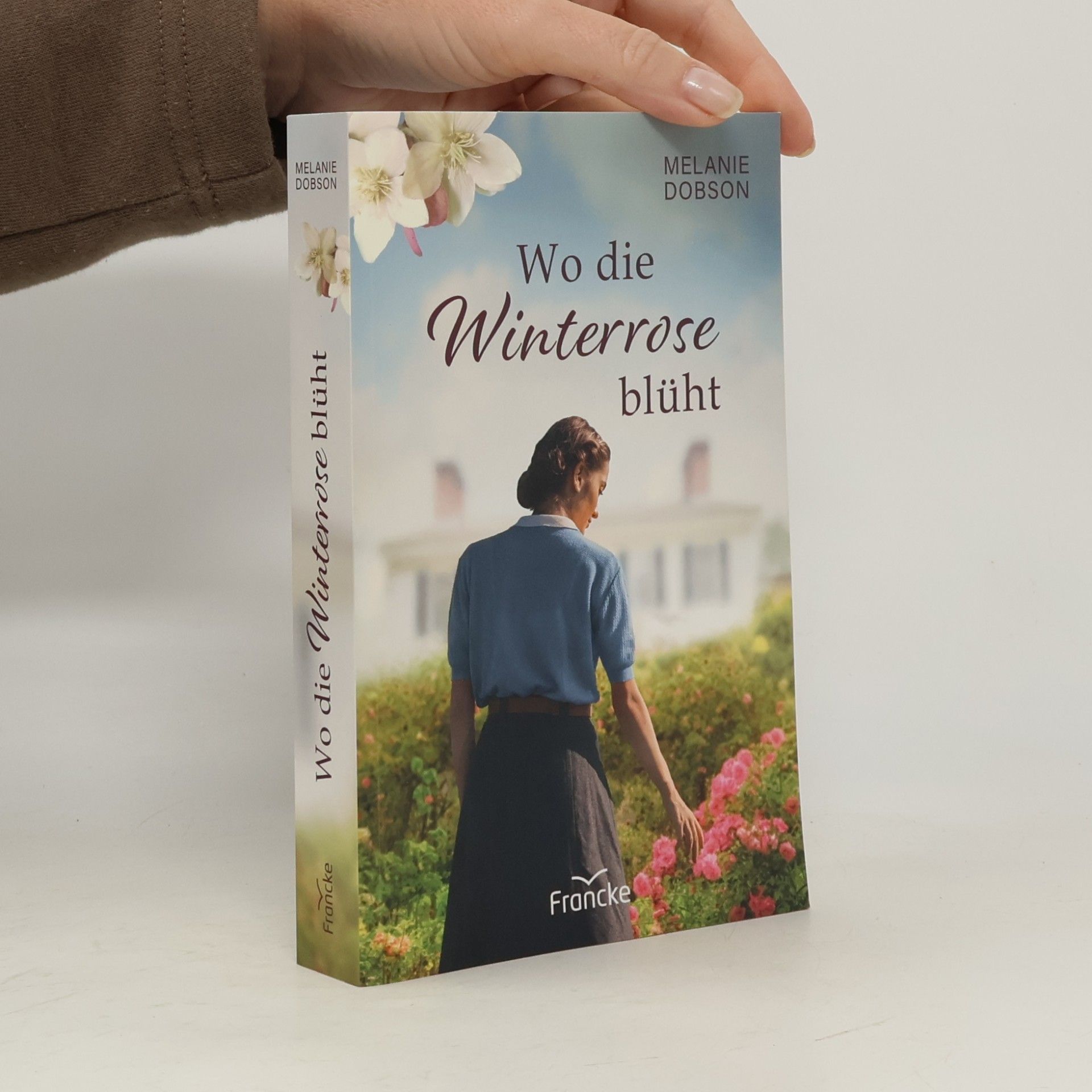 Wo die Winterrose blüht