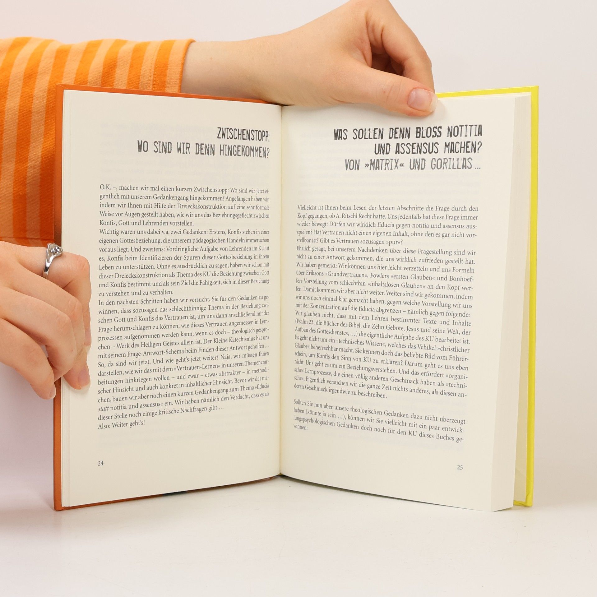 Hans-Ulrich Keßler Im Himmel und auf Erden - Das Holk-Projekt: Handbuch zum Konfikurs