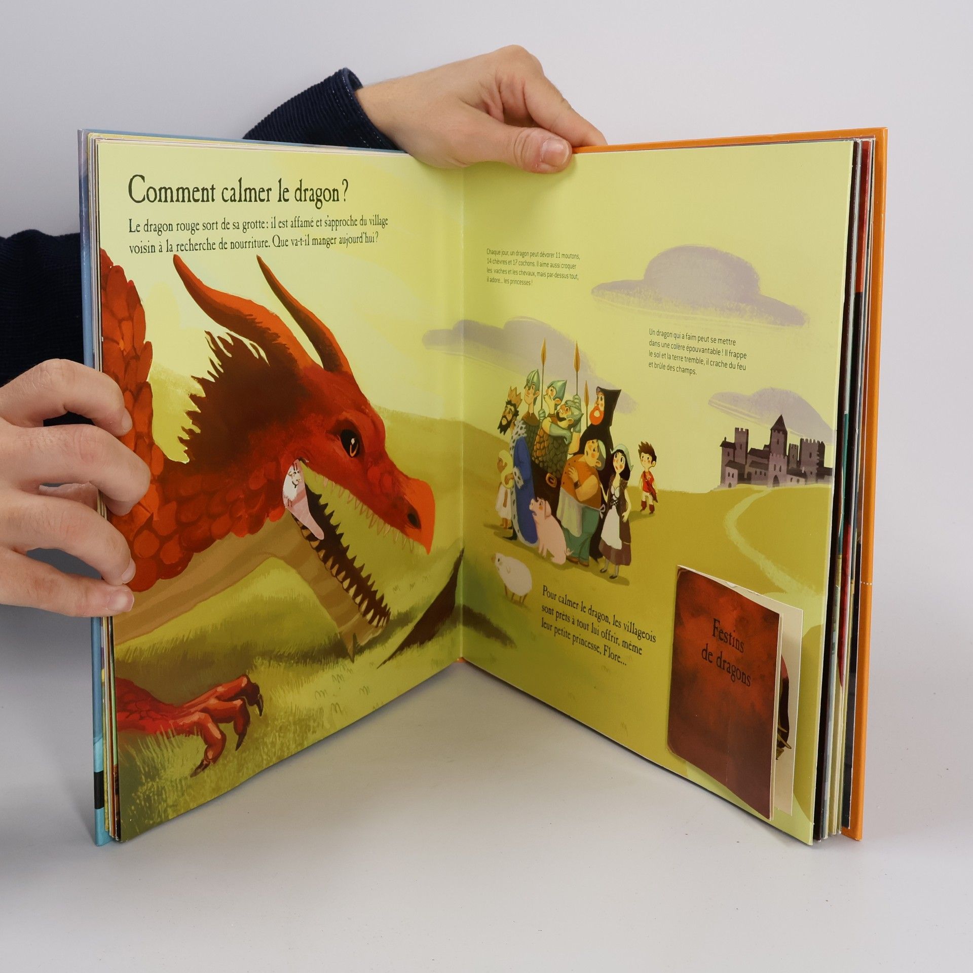 Nicolas Duffaut Les Dragons (2)
