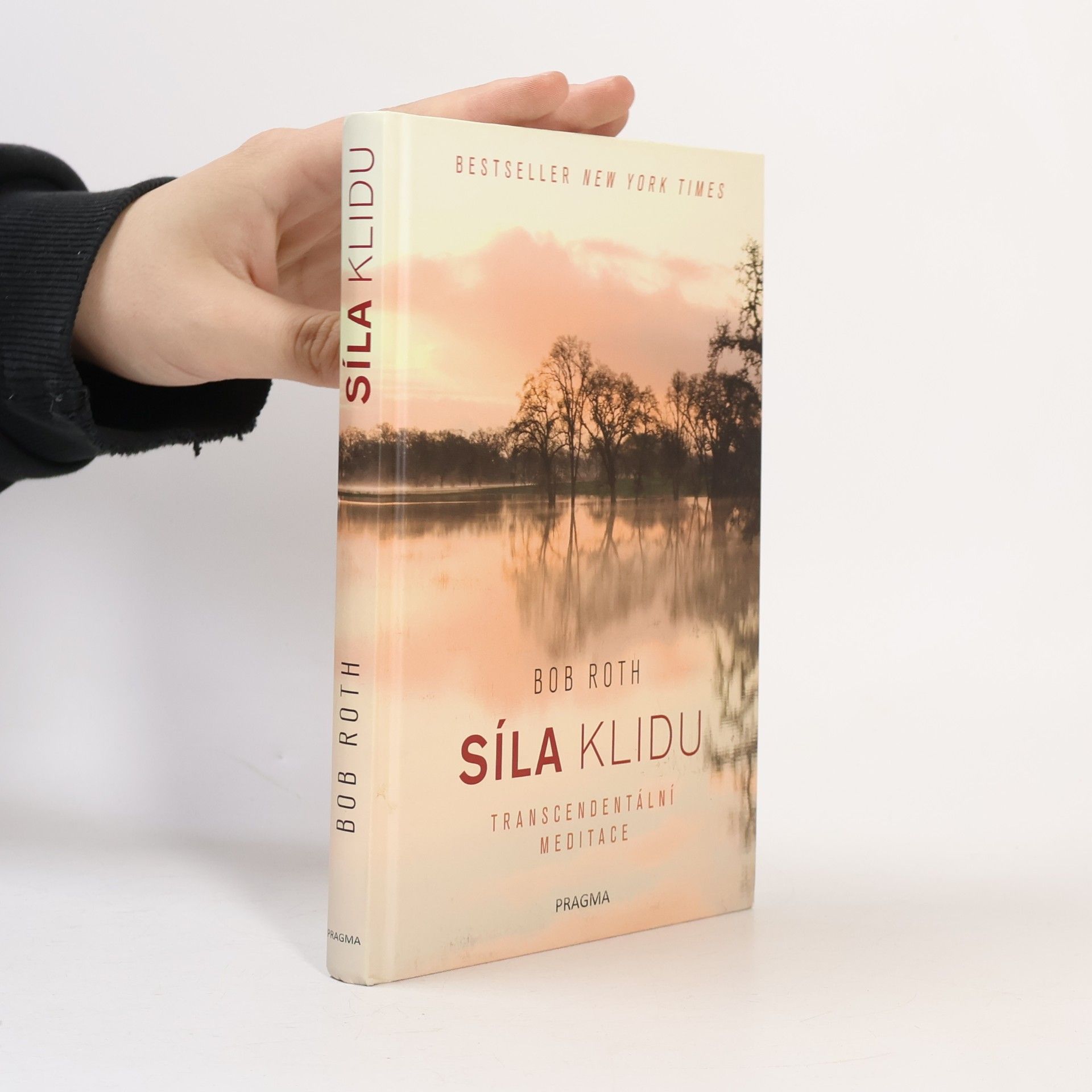 Bob Roth Síla klidu. Transcendentální meditace