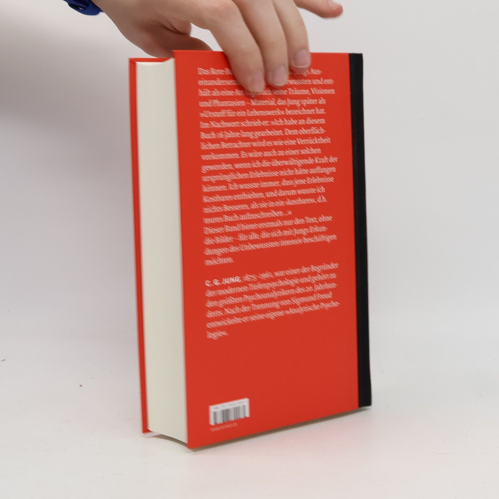 Carl Gustav Jung Das rote Buch - der Text