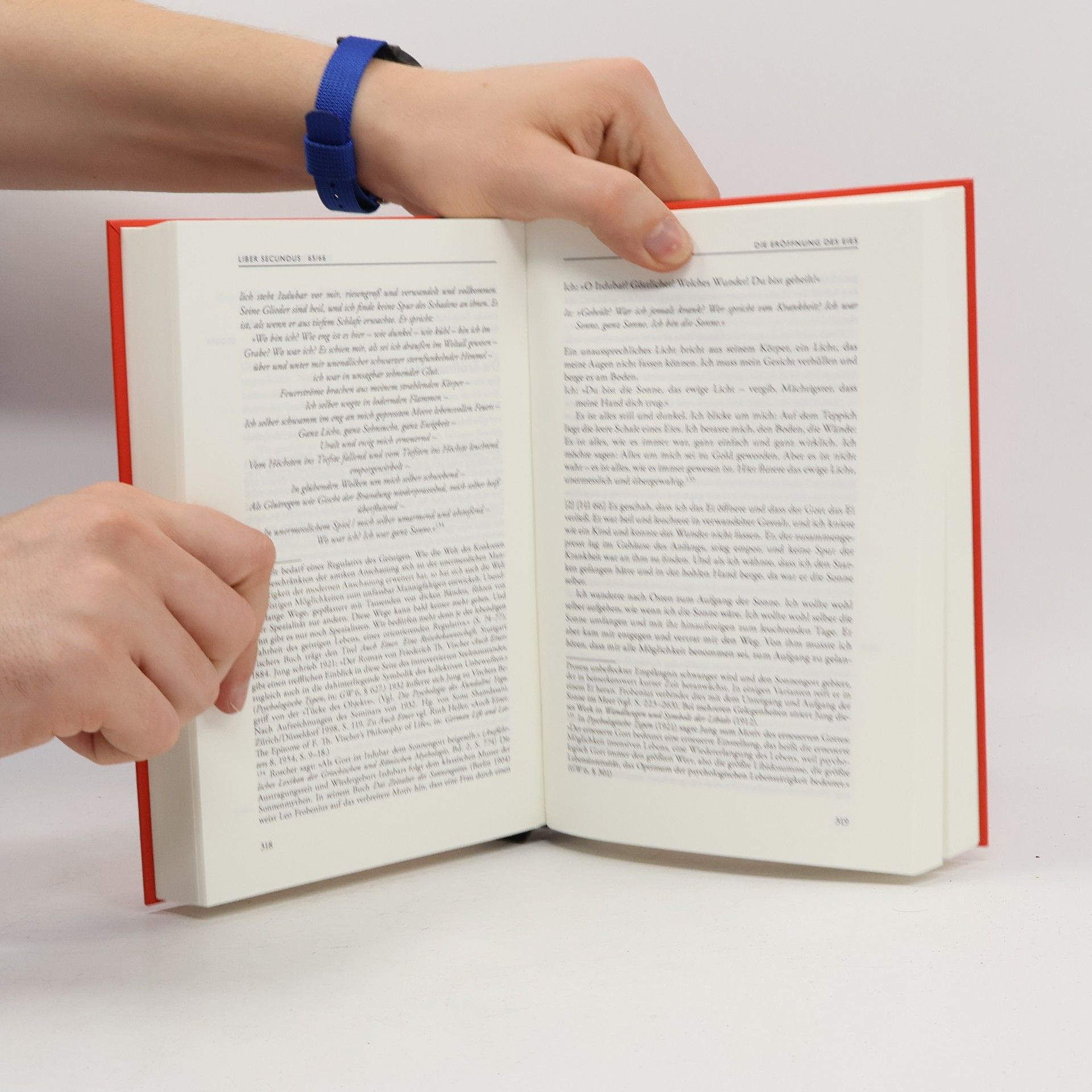 Carl Gustav Jung Das rote Buch - der Text
