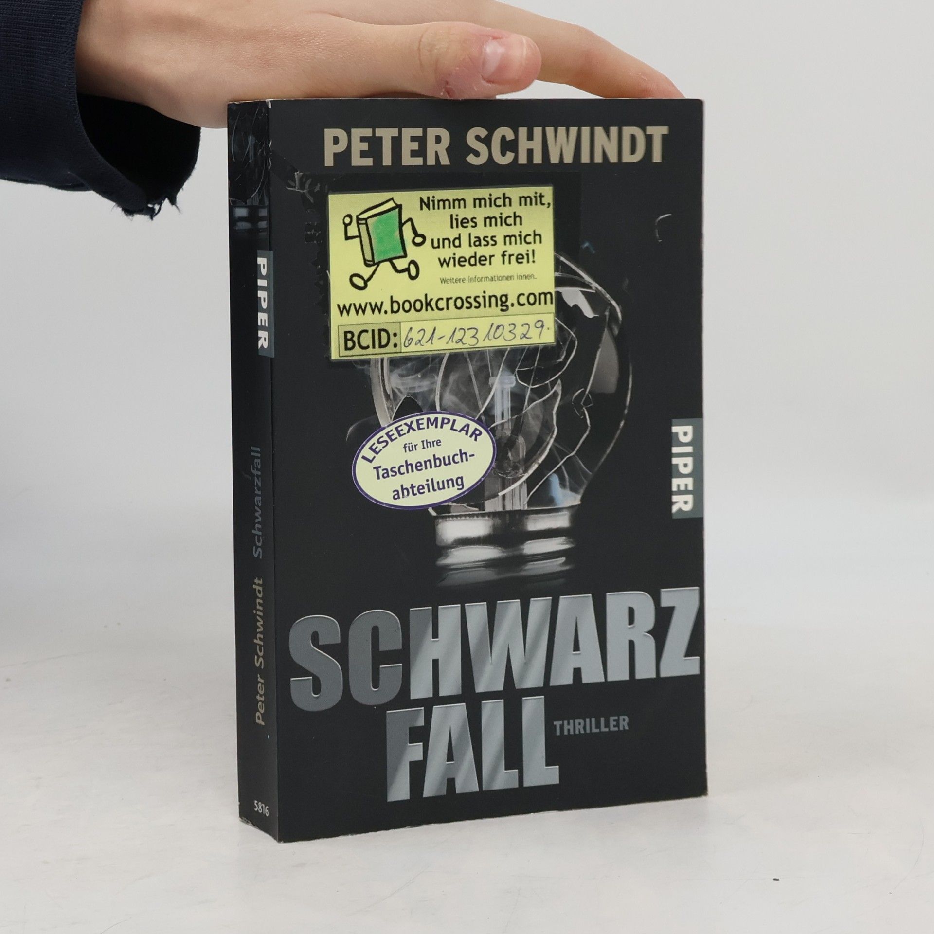 Peter Schwindt Schwarzfall