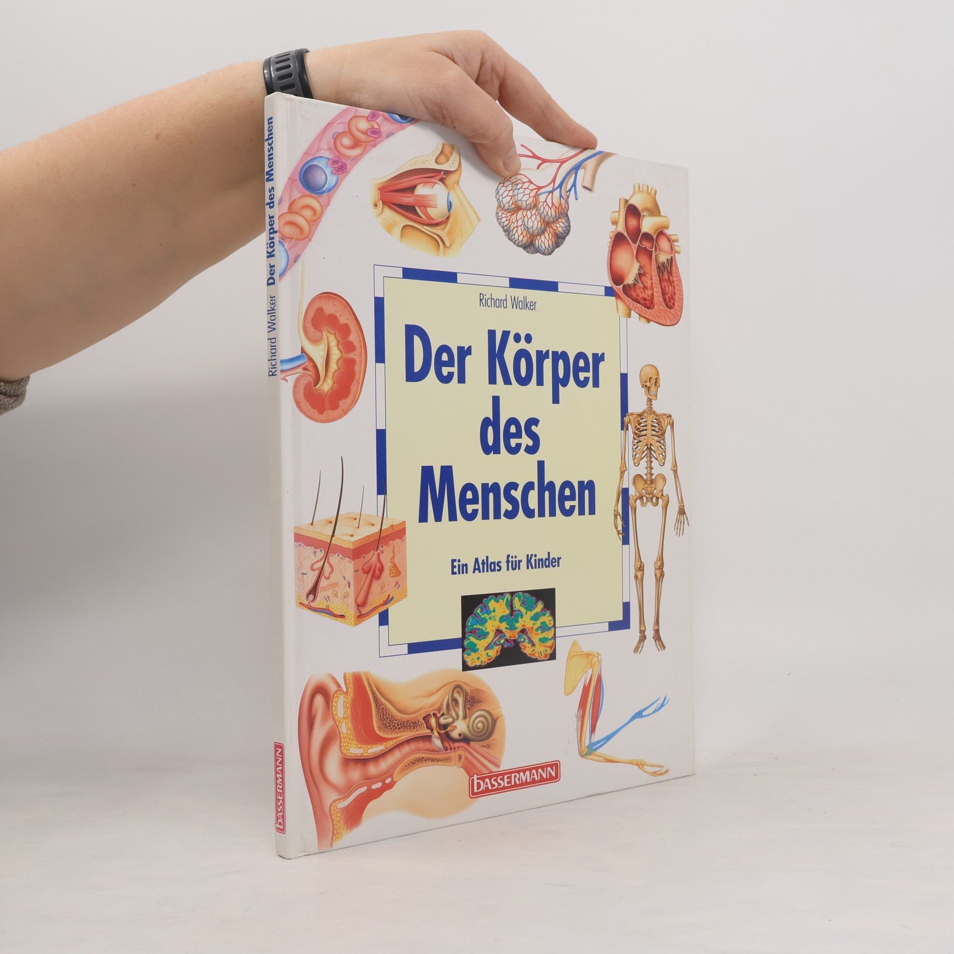 Der Körper des Menschen