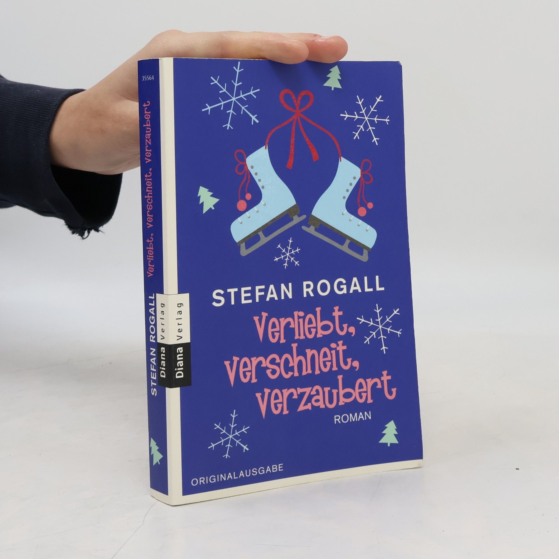 Stefan Rogall Verliebt, verschneit, verzaubert. Roman