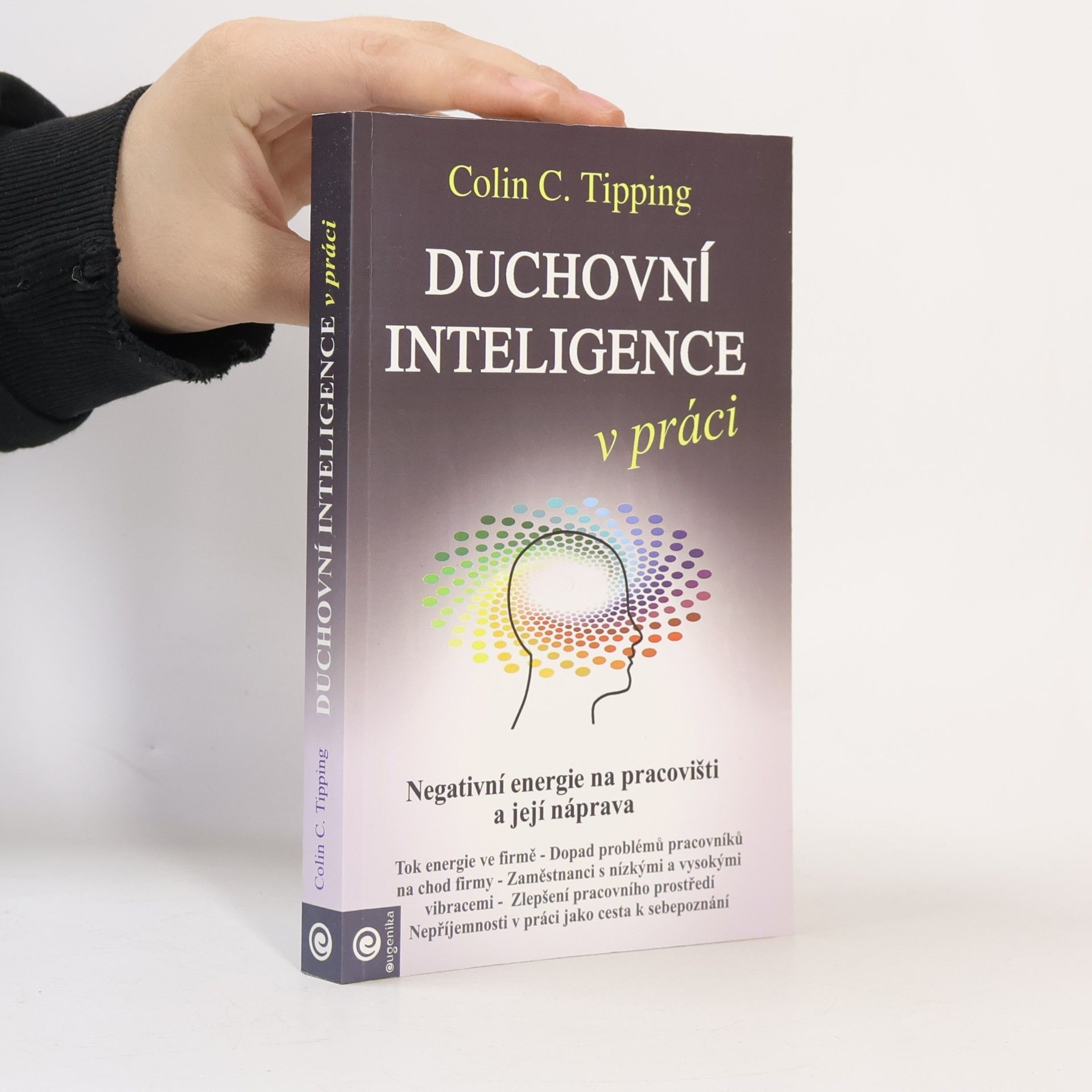 Duchovní inteligence v práci