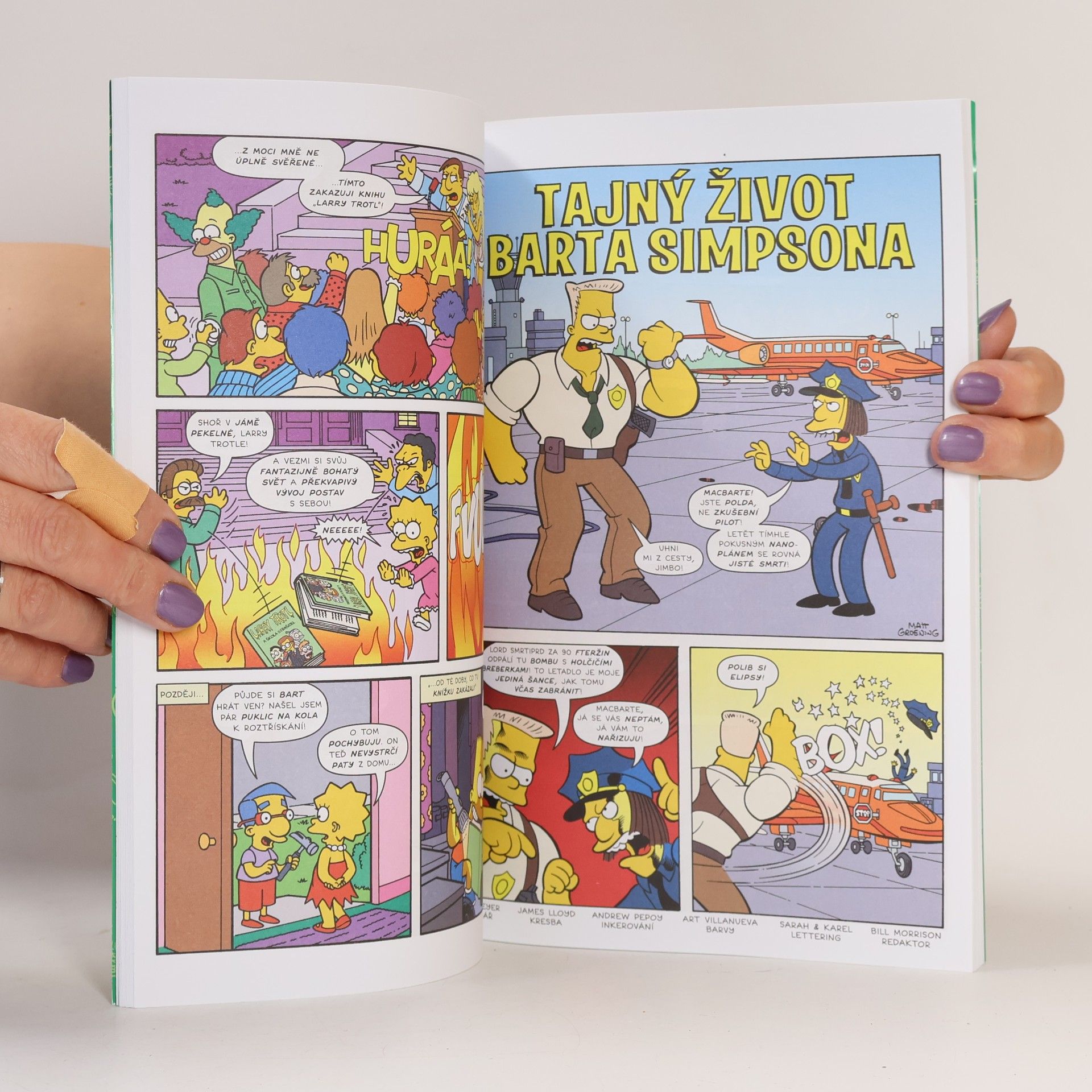 Matt Groening Simpsonovi: Velká povalečská kniha Barta Simpsona
