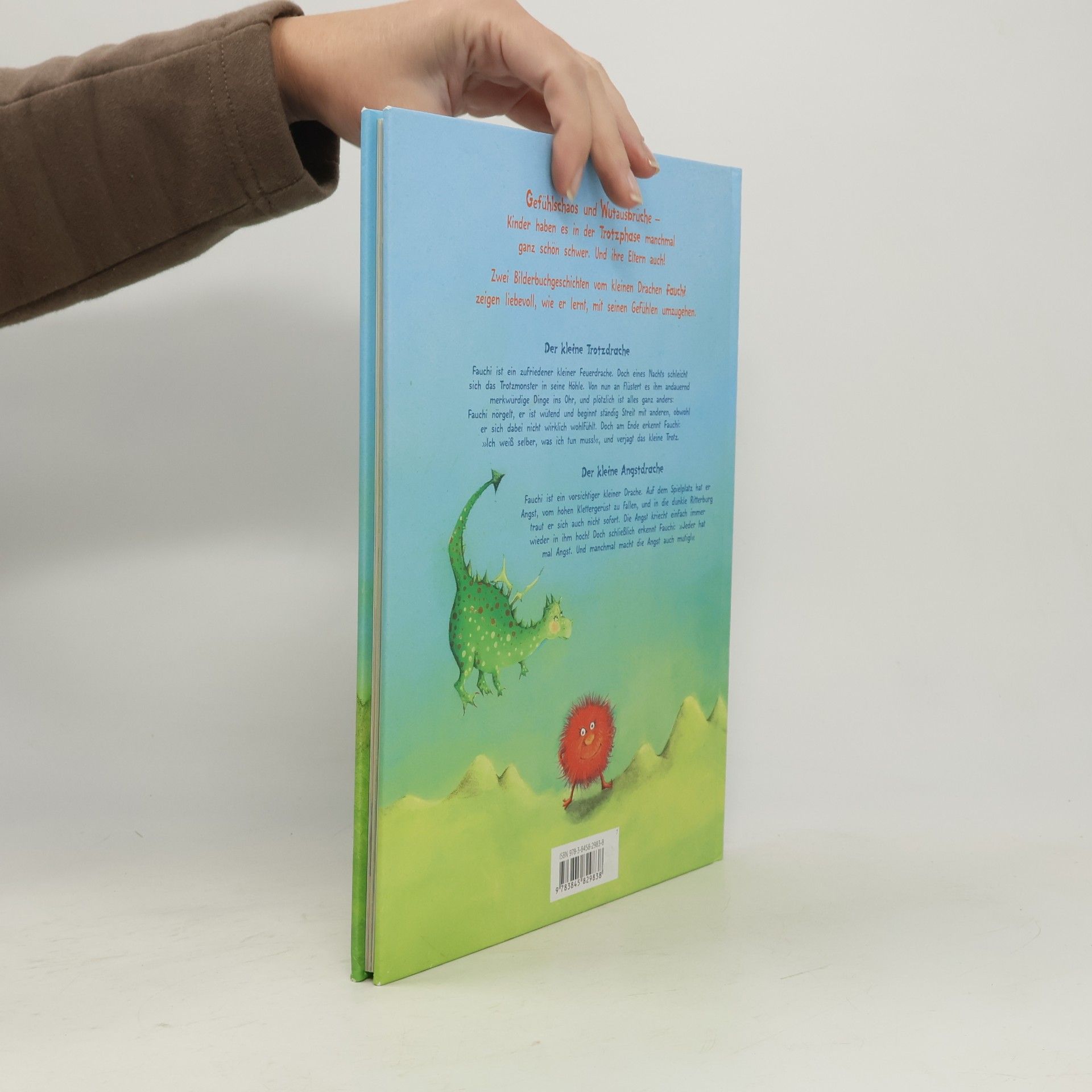 Patricia Mennen Der kleine Trotzdrache