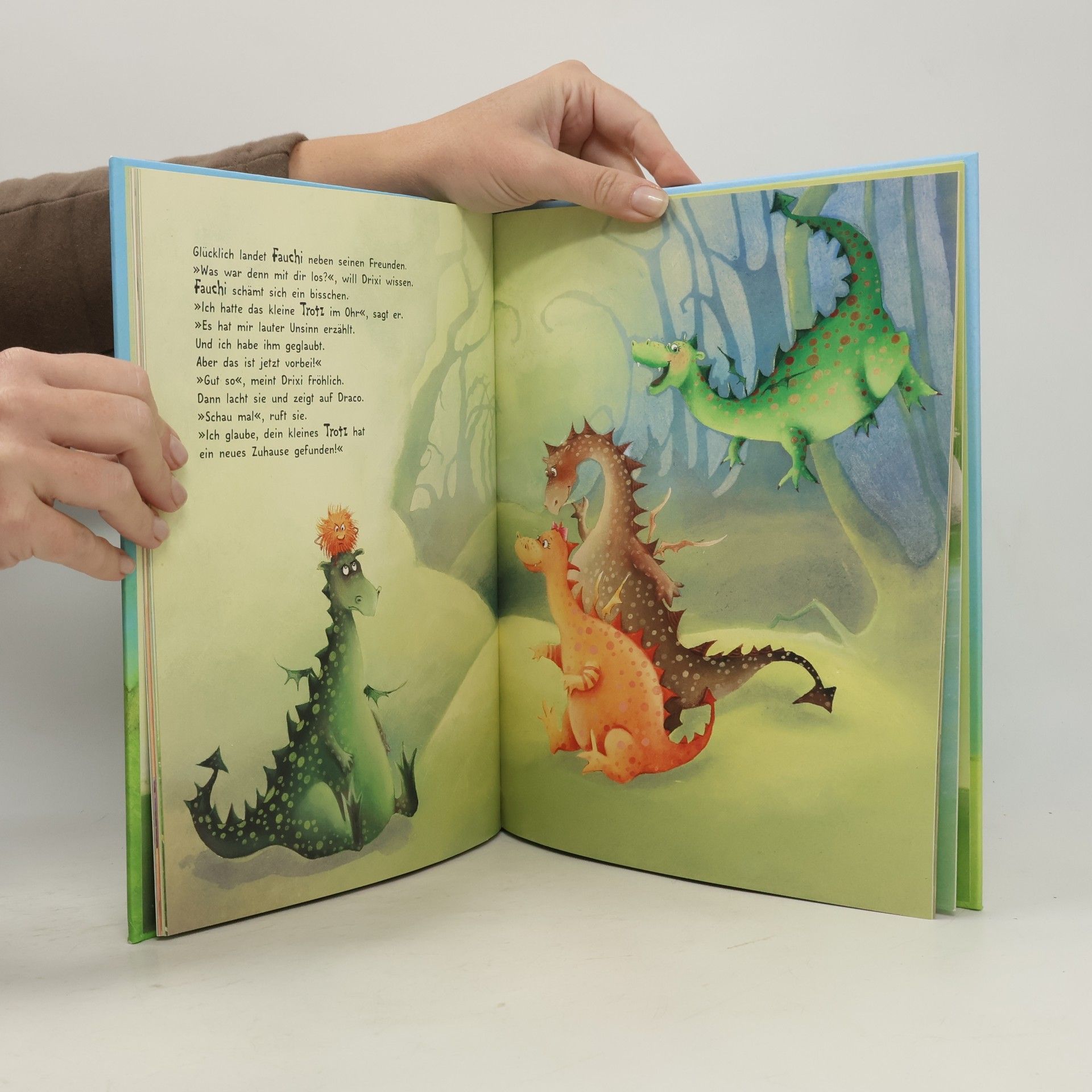 Patricia Mennen Der kleine Trotzdrache