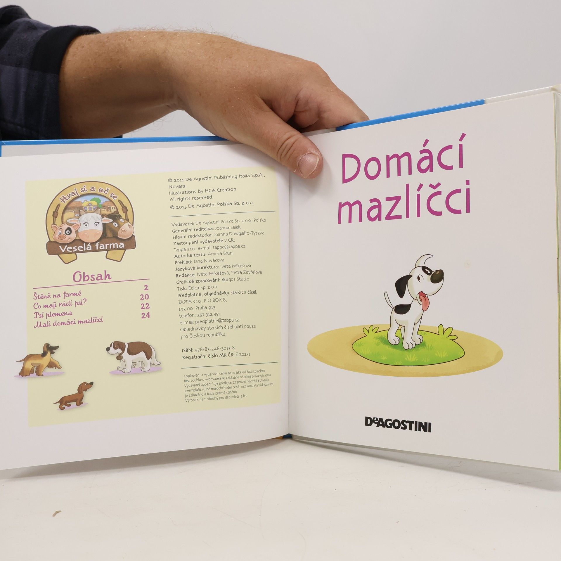 Kolektiv autorů V hospodářství 39. Domácí mazlíčci