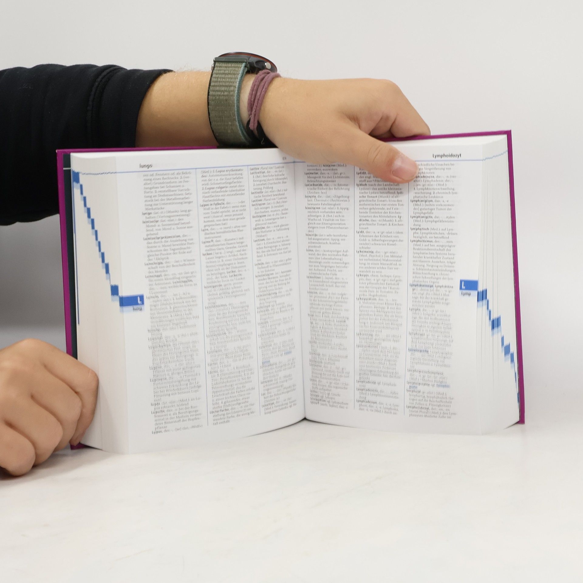 Autorenkollektiv Duden, das Fremdwörterbuch 5