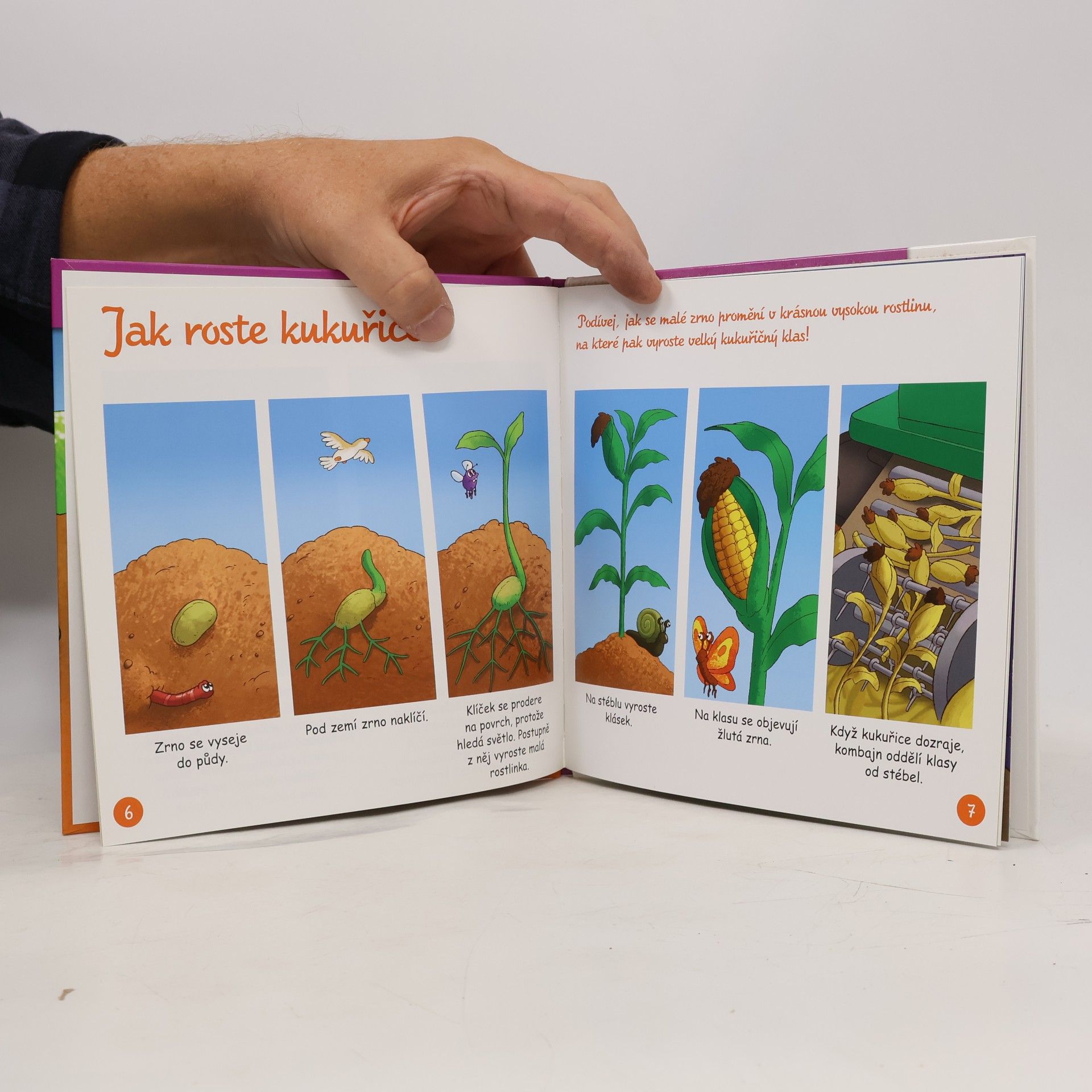 Autorenkollektiv Výrobky z venkova 25. Pěstování obilí