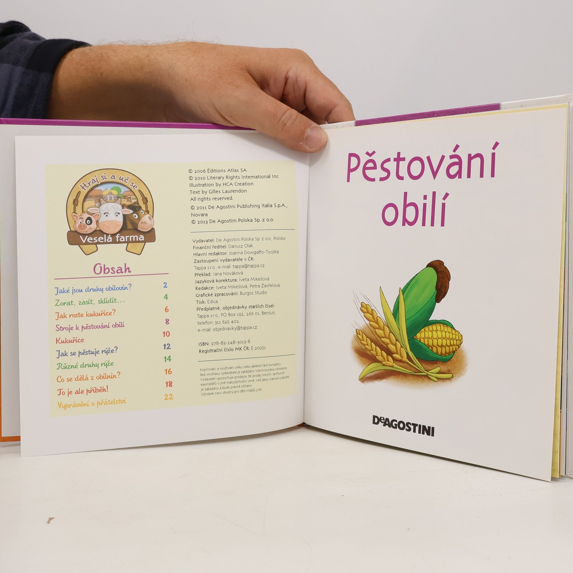 Autorenkollektiv Výrobky z venkova 25. Pěstování obilí