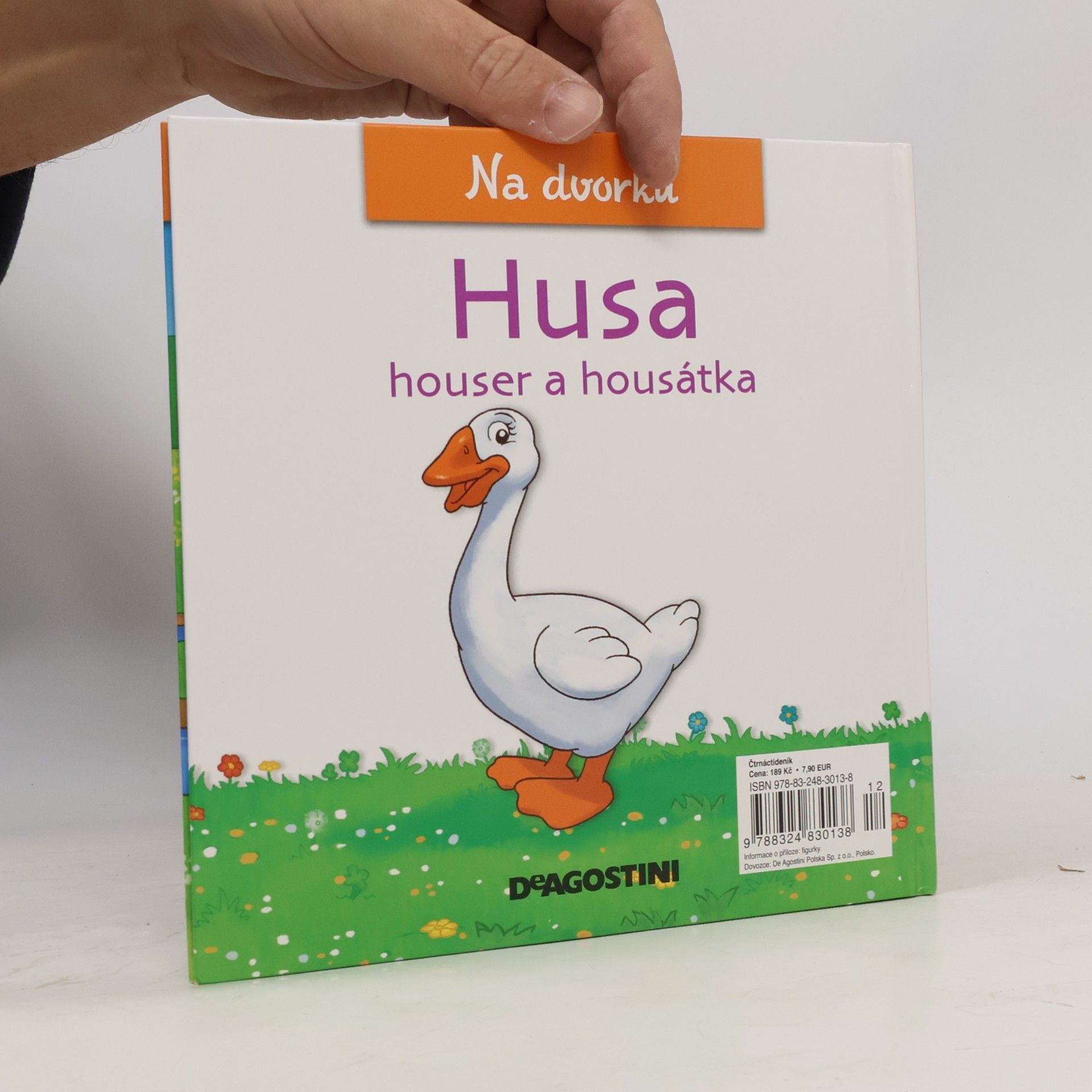 Various authors Na dvorku 29. Husa