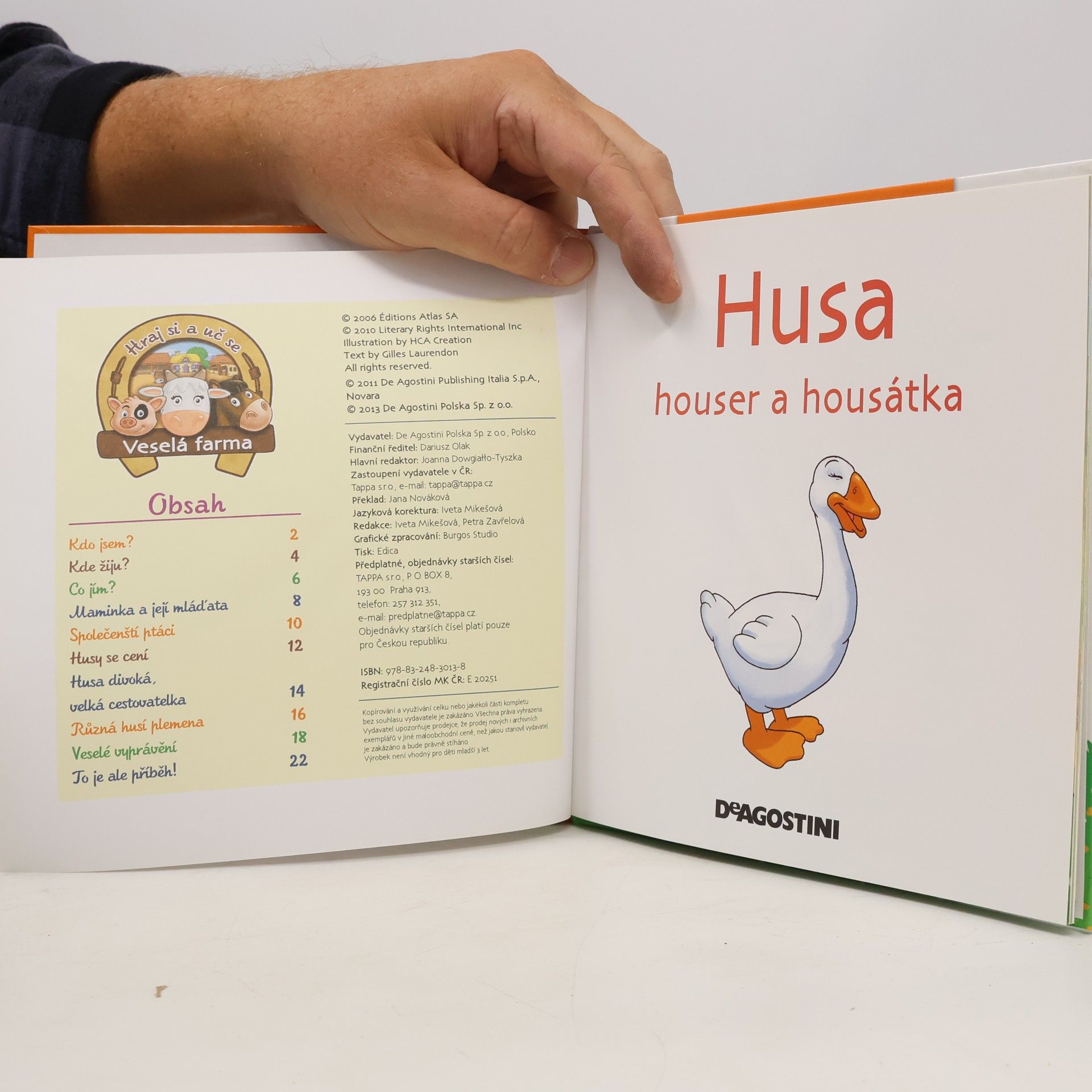 Various authors Na dvorku 29. Husa