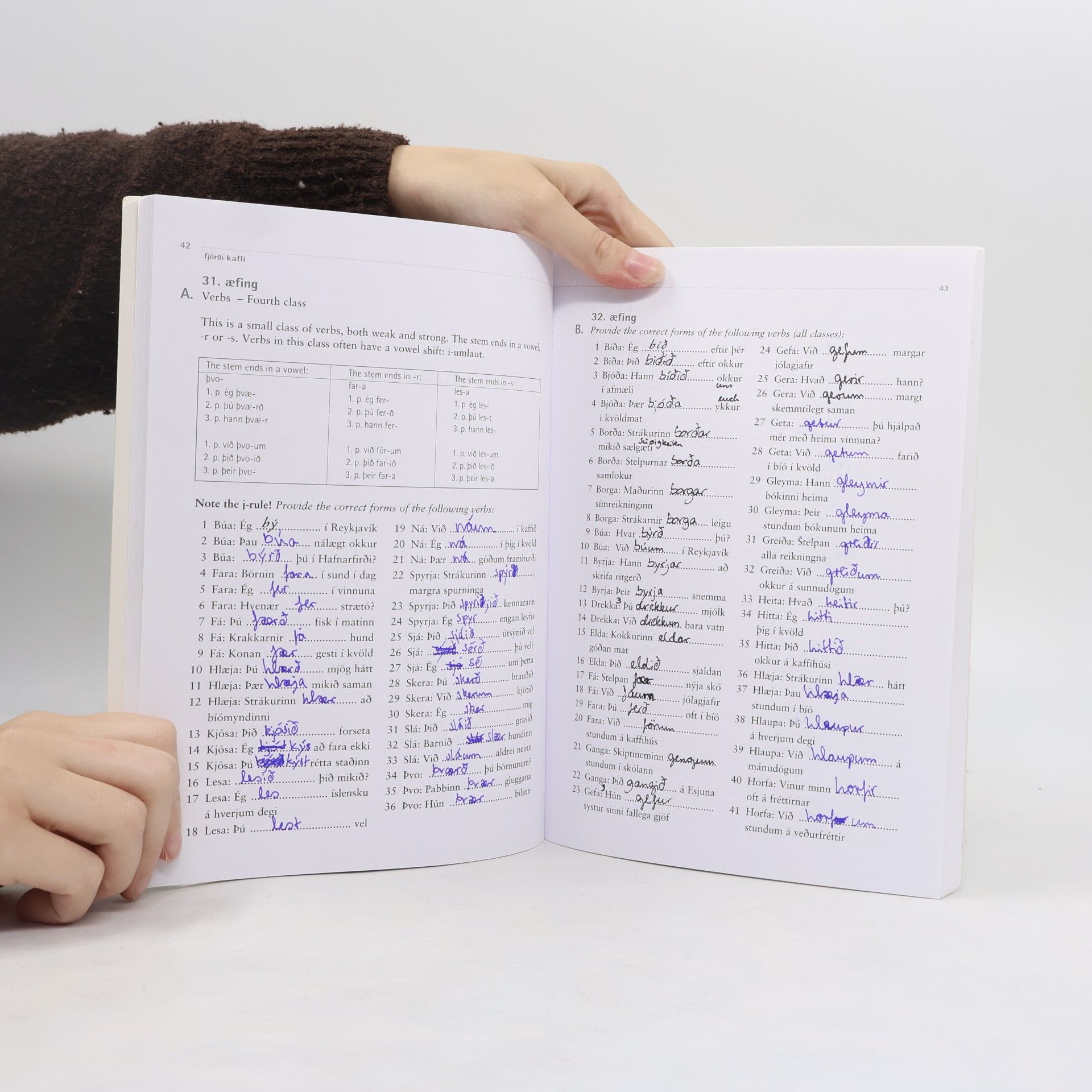 Guđrun Theodórsdóttir Learning Icelandic: Grammar exercises (islandsky)