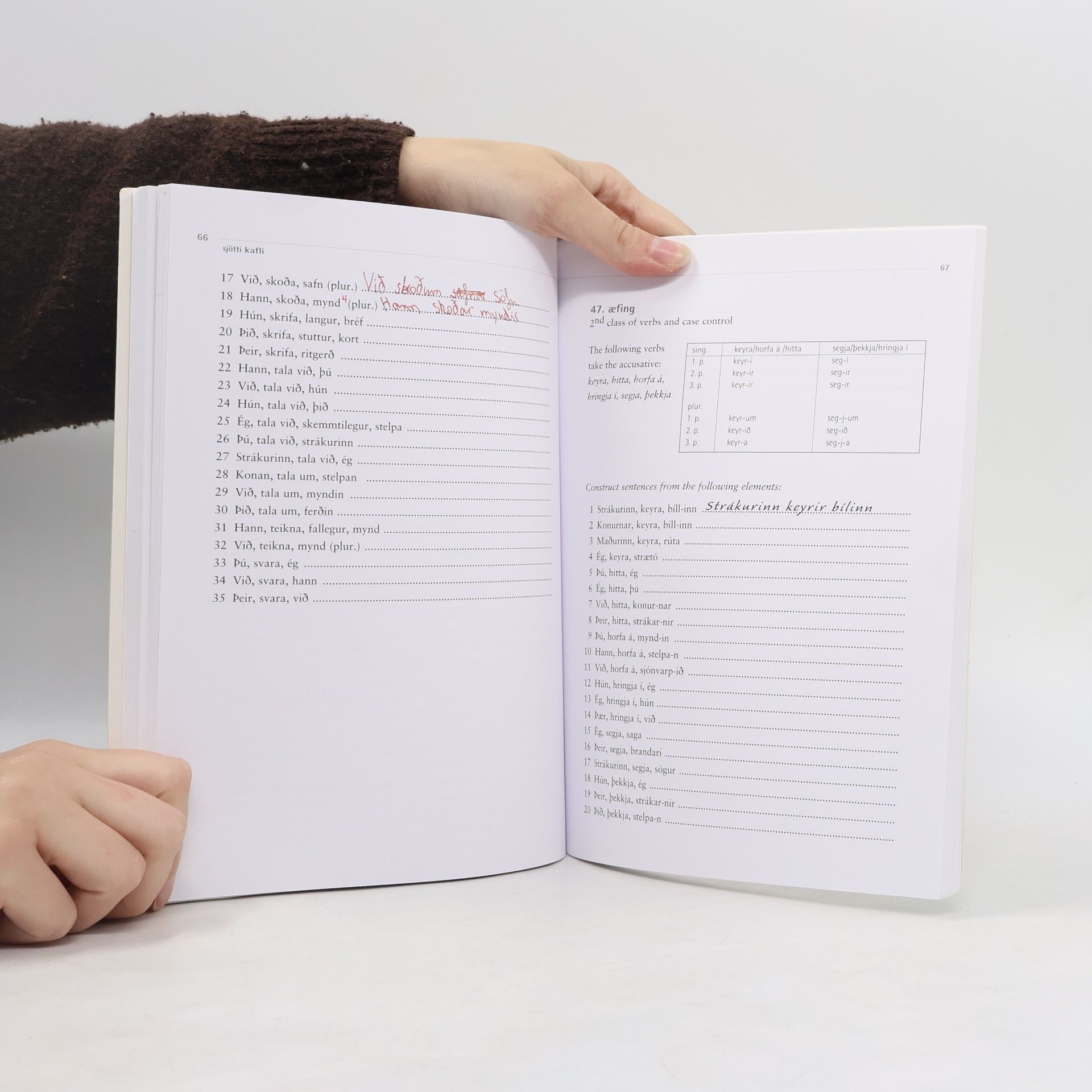 Guđrun Theodórsdóttir Learning Icelandic: Grammar exercises (islandsky)