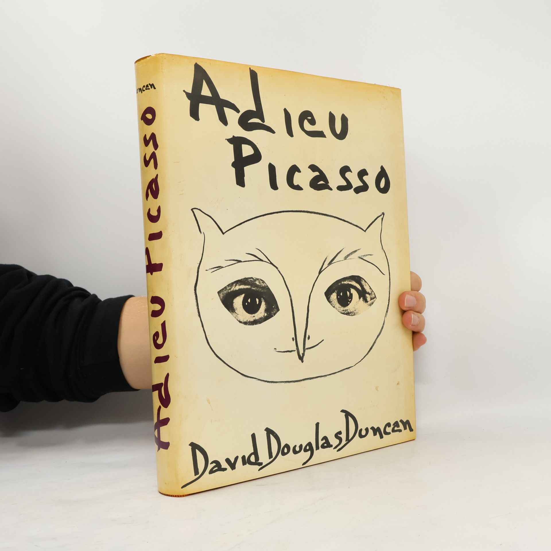 Adieu Picasso