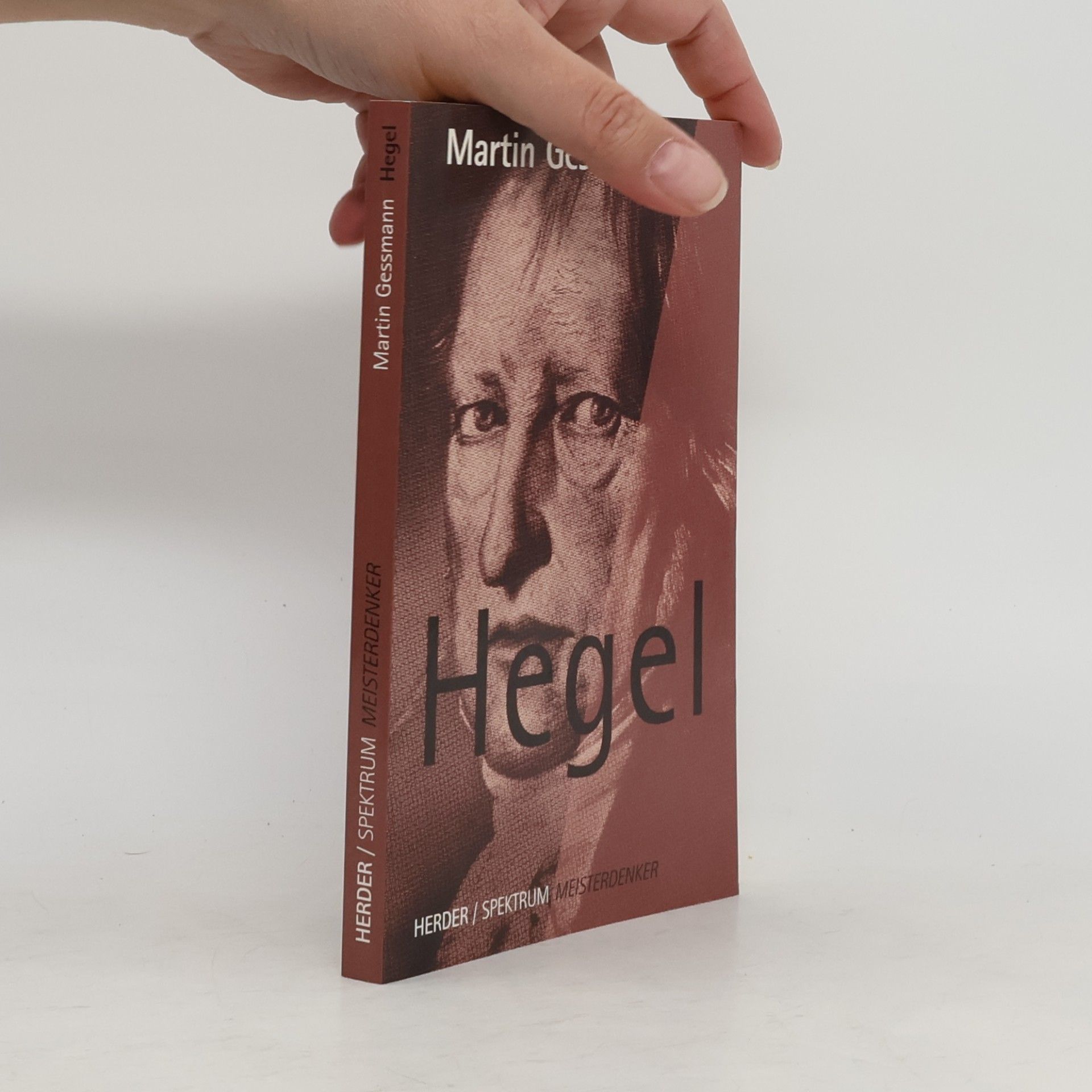 Martin Gessmann Hegel