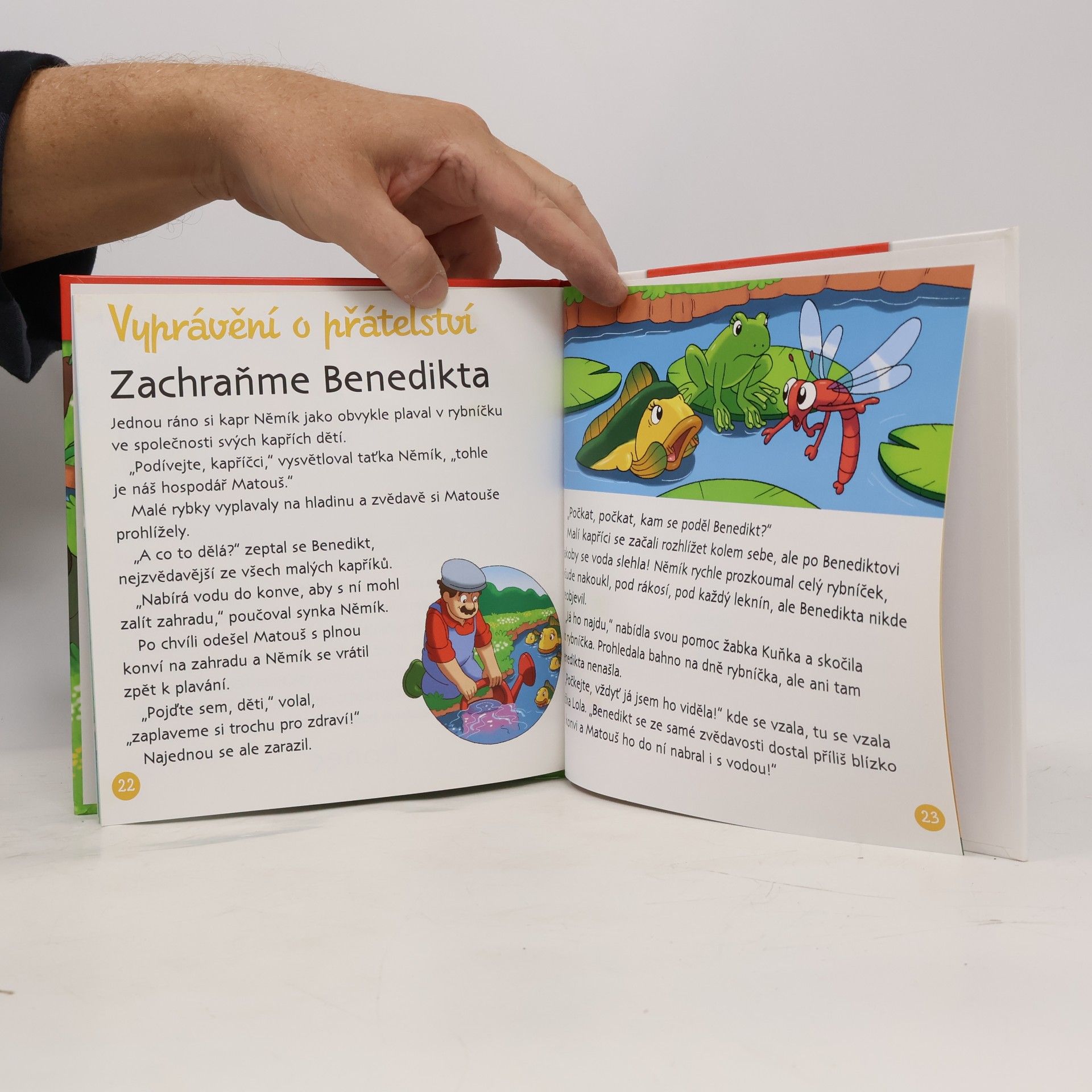 Kolektiv autorů Na polích a lukách 31. U rybníka