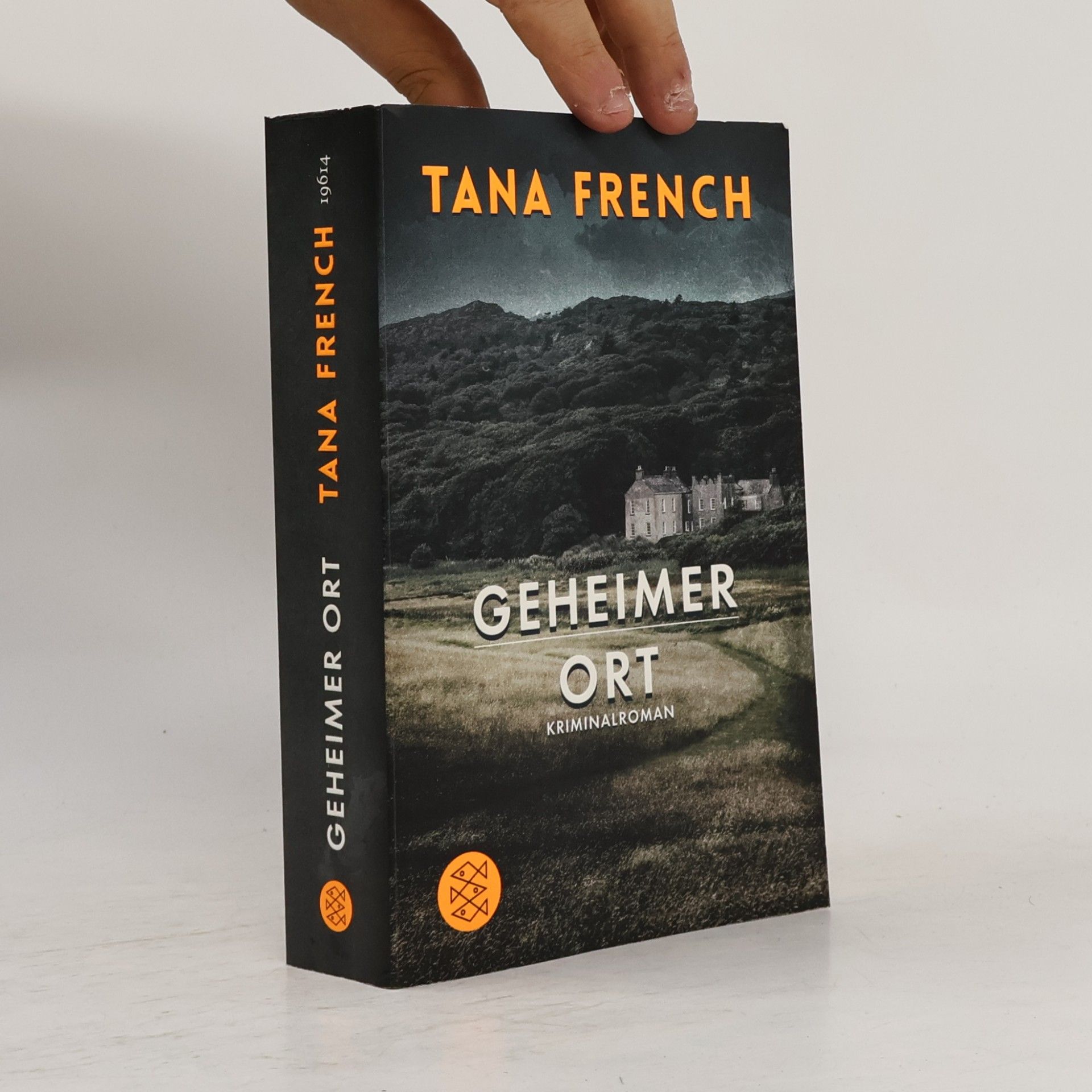 Tana French Geheimer Ort