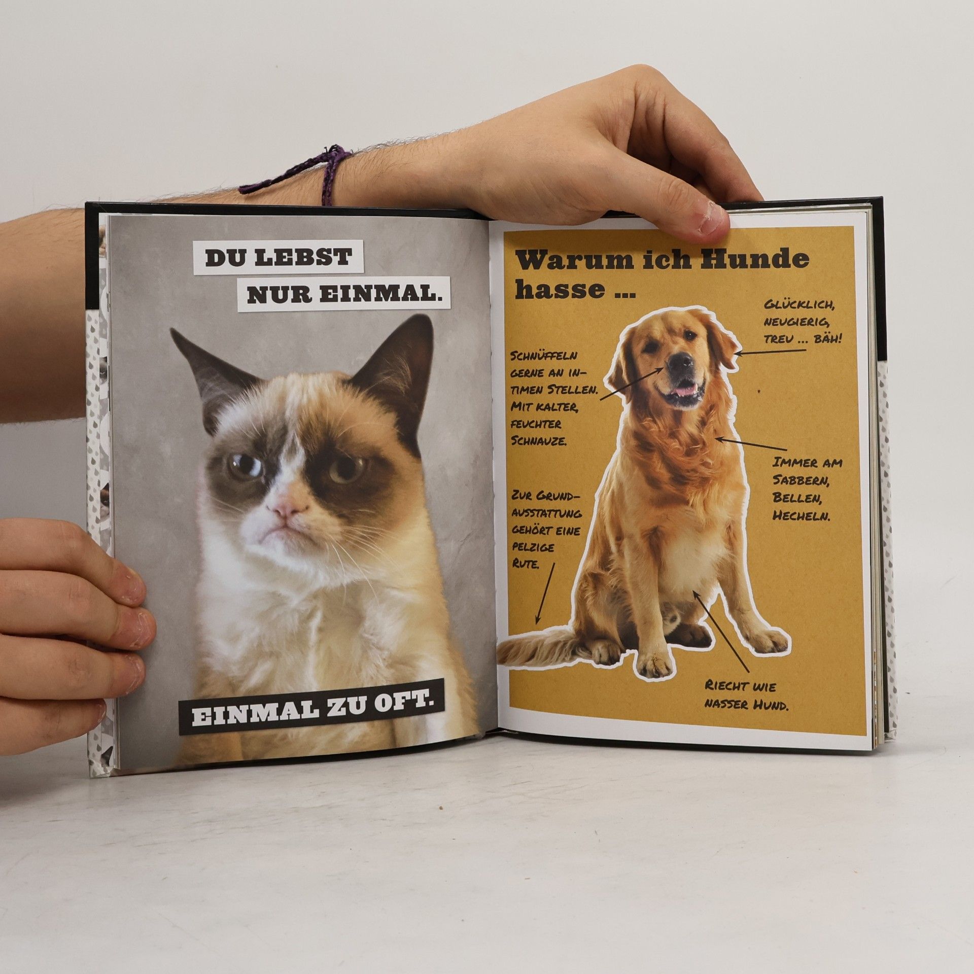 Tina Herold Grumpy Cat