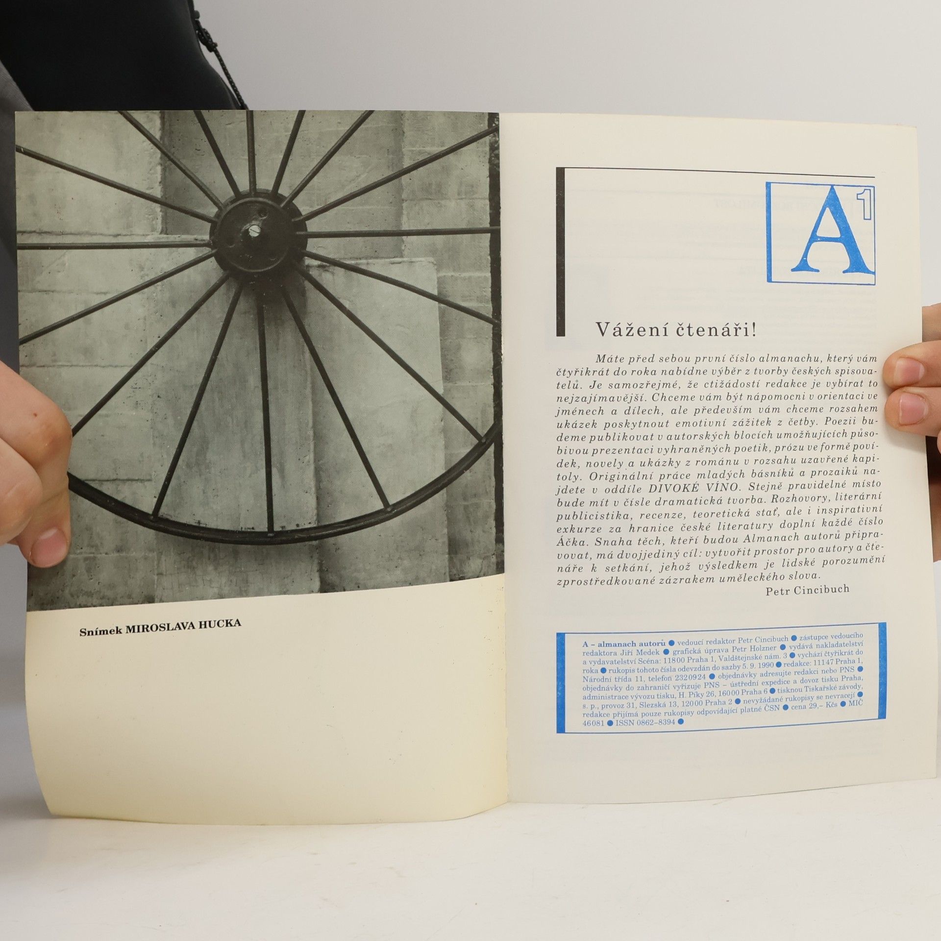 Autorenkollektiv A almanach autorů