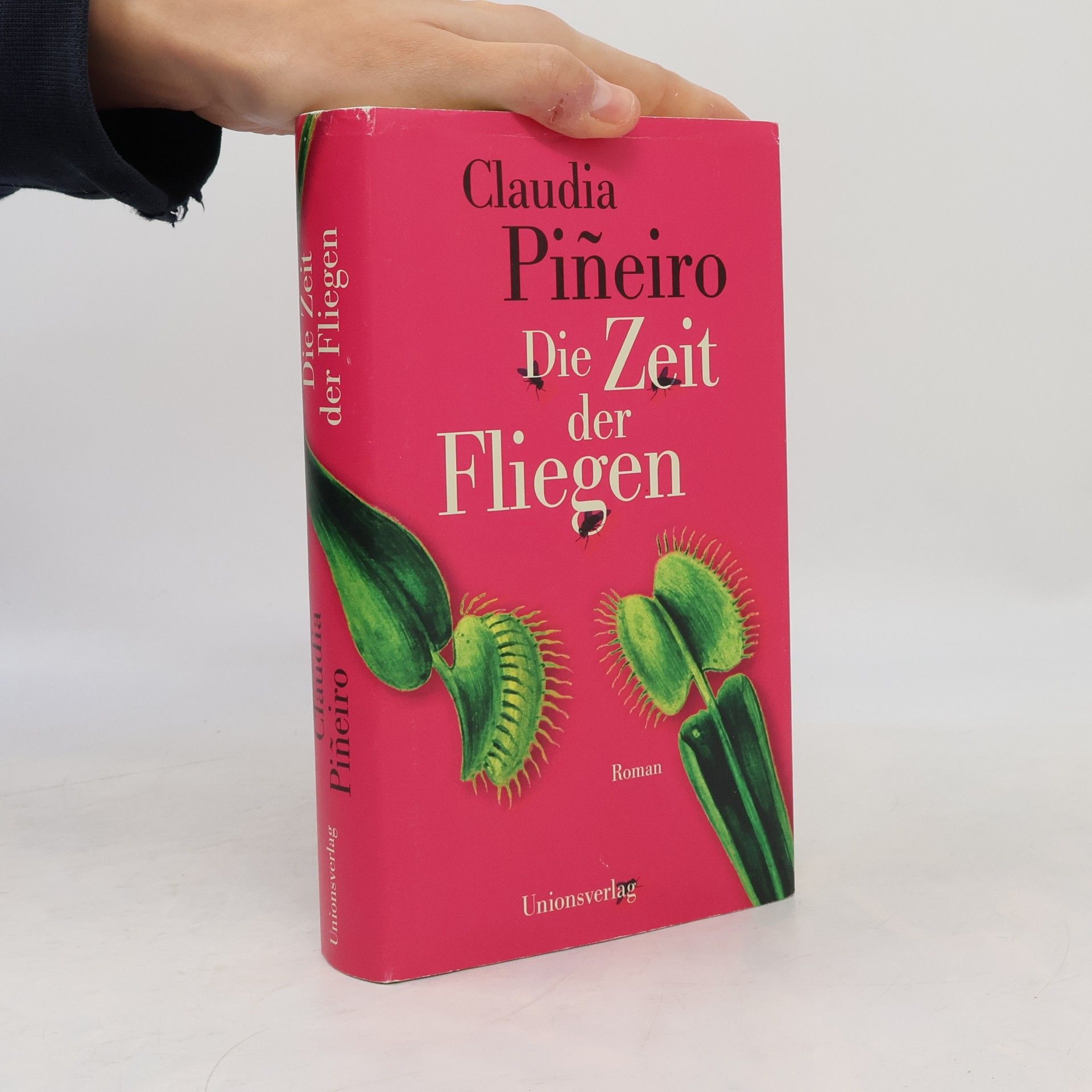 Die Zeit der Fliegen