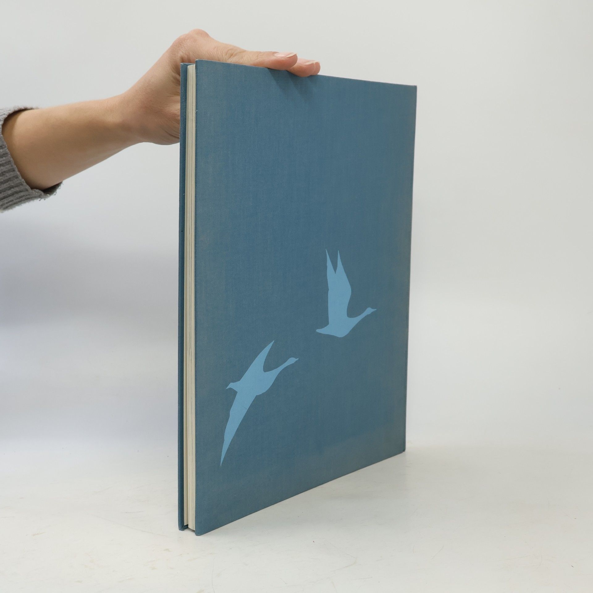 Kolektiv autorů Die Vogelfluglinie Fugleflugtslinien