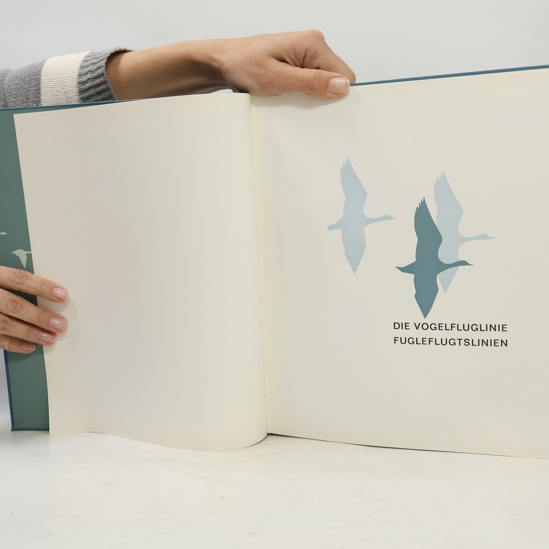 Kolektiv autorů Die Vogelfluglinie Fugleflugtslinien
