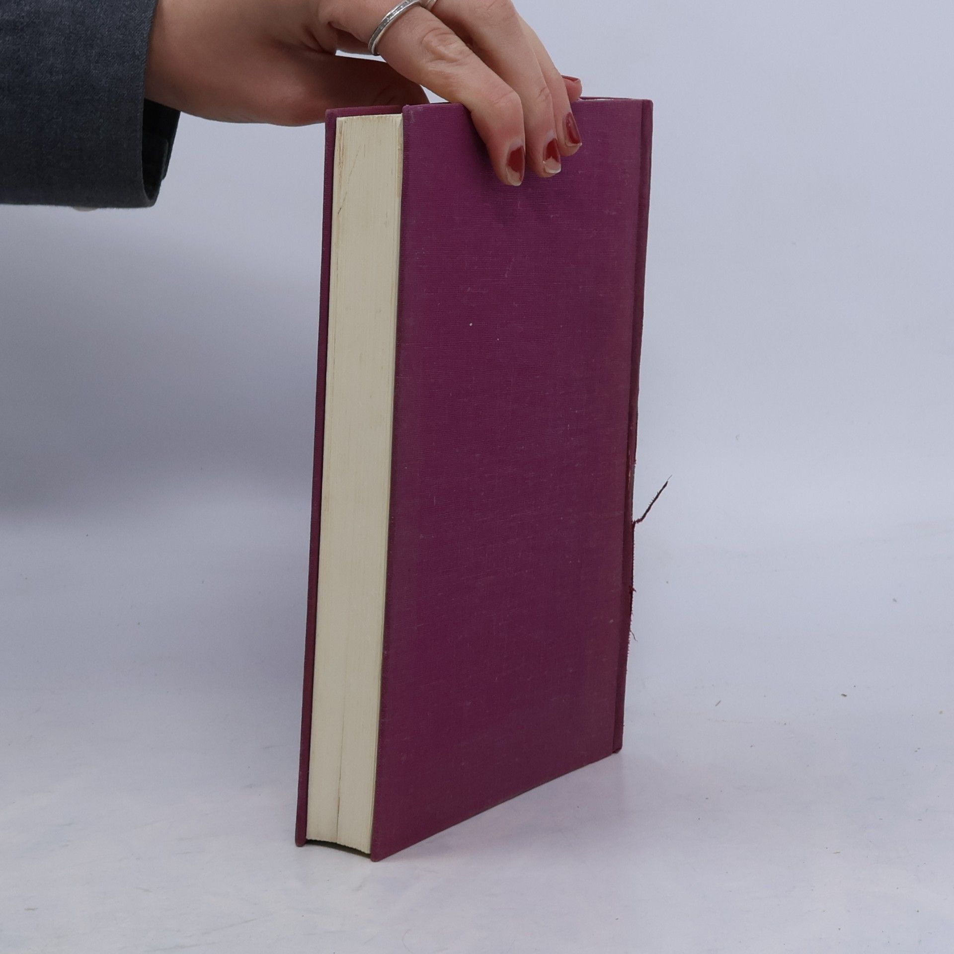 Patricia Walsh Chadwick Die Ungeduldigen