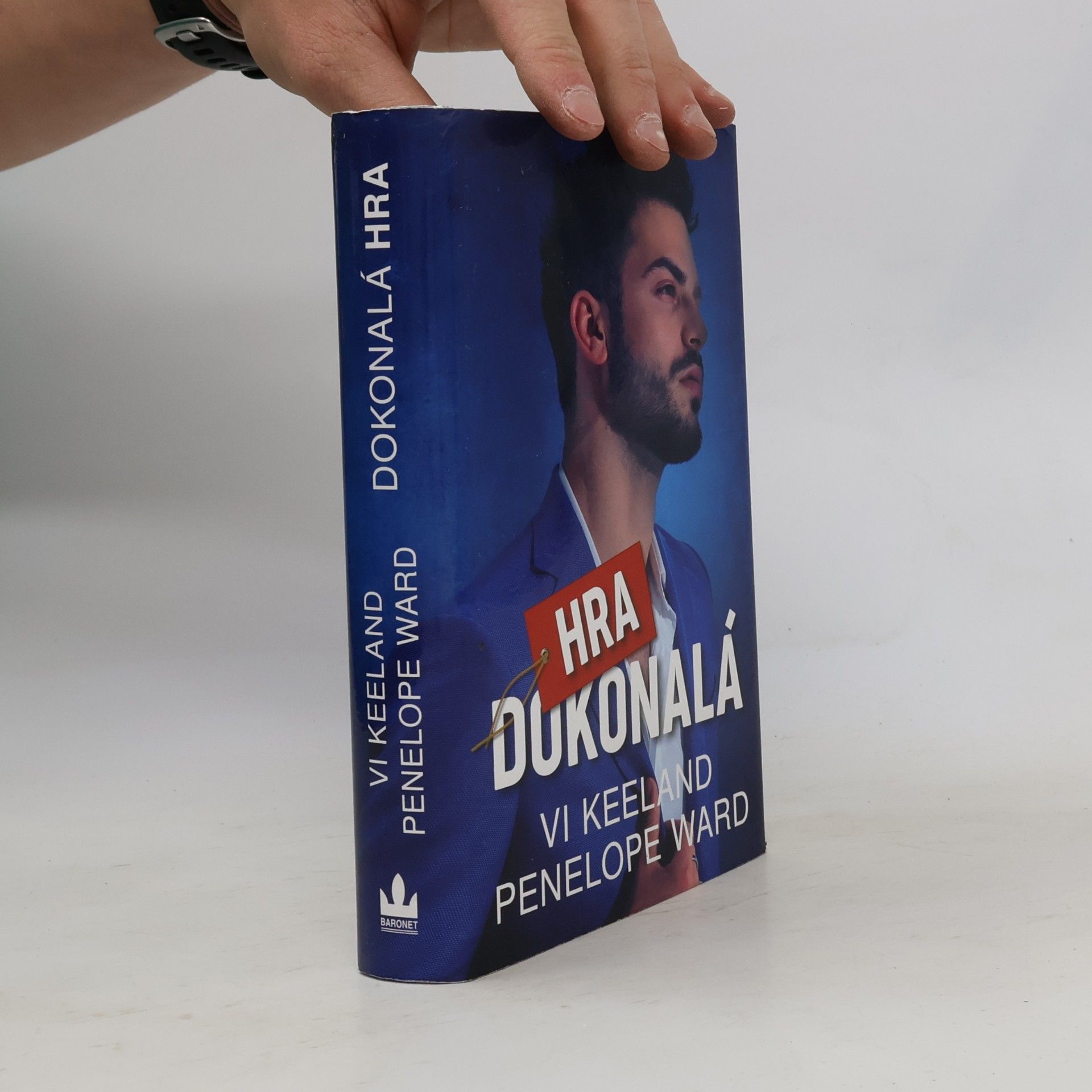 Vi Keeland Dokonalá hra