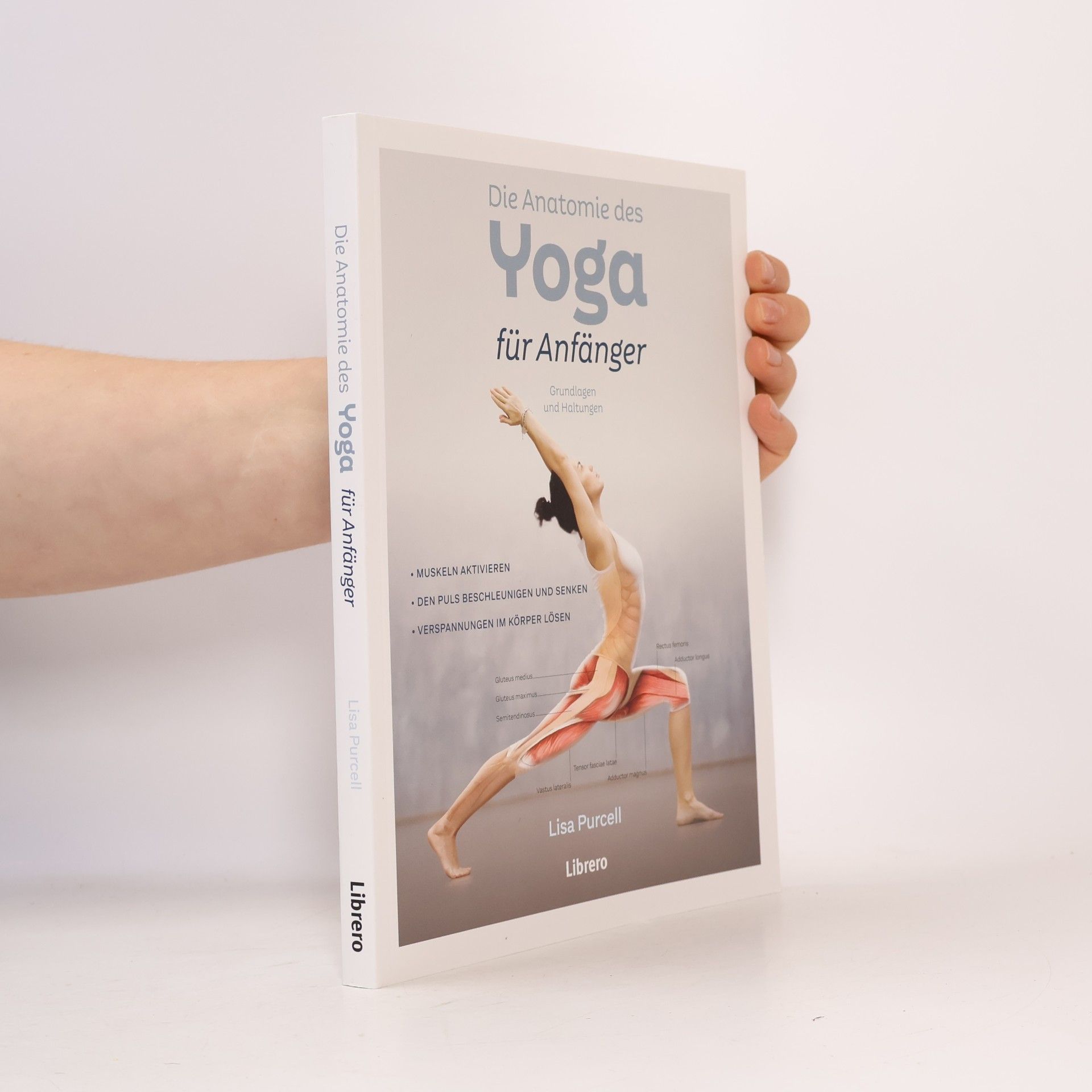 Lisa Purcell Die Anatomie des Yoga für Anfänger