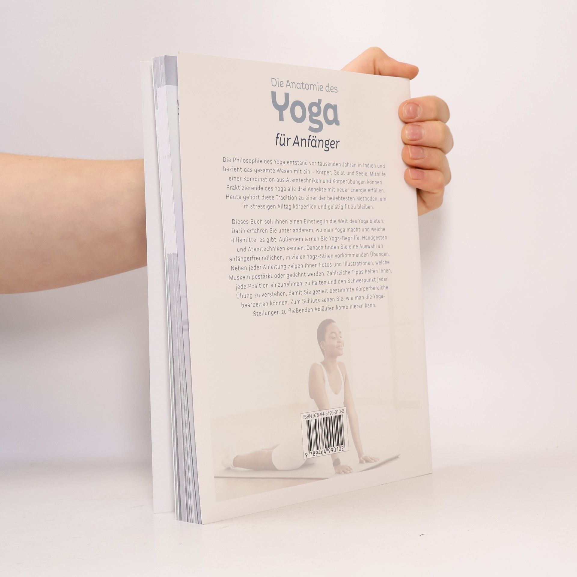 Lisa Purcell Die Anatomie des Yoga für Anfänger