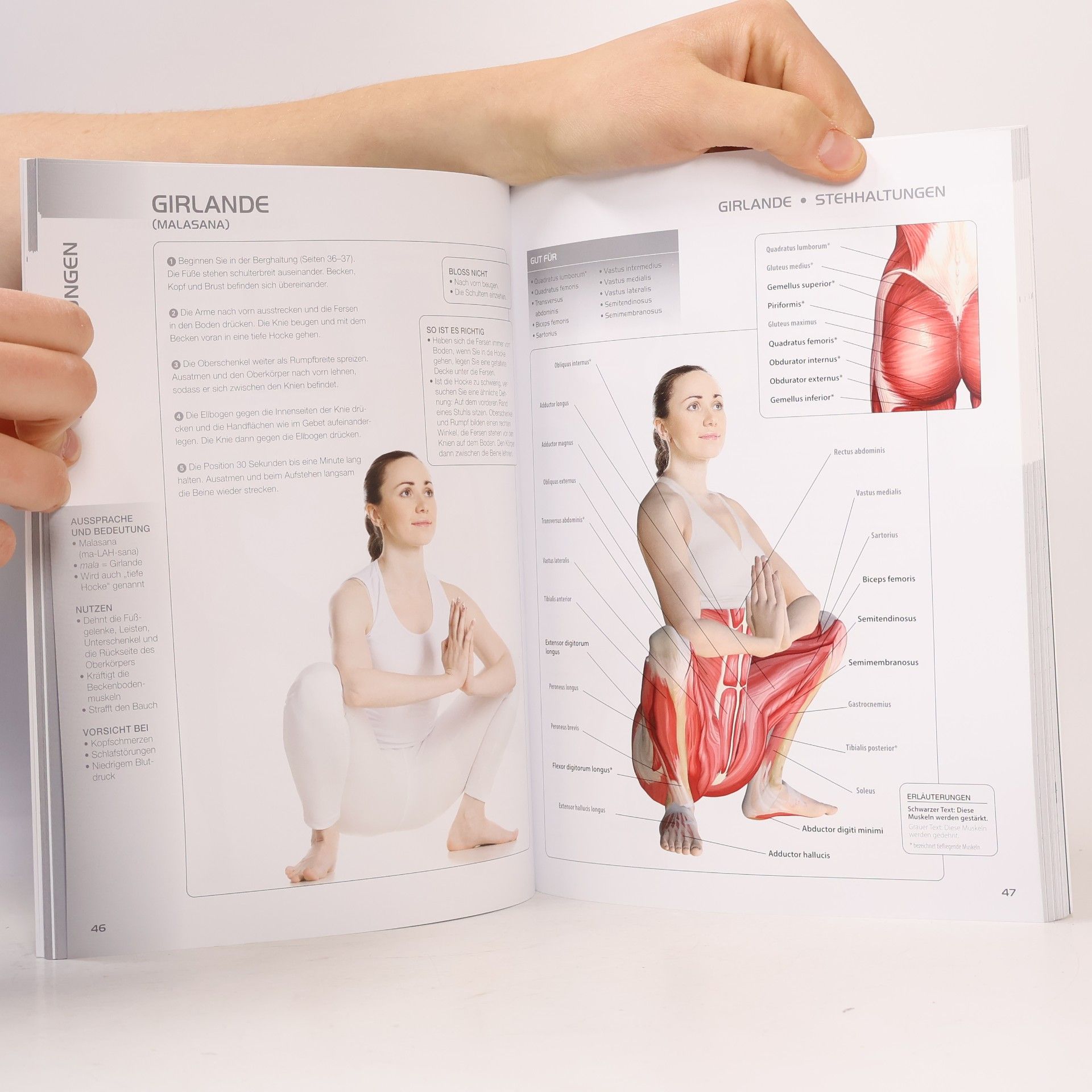 Lisa Purcell Die Anatomie des Yoga für Anfänger