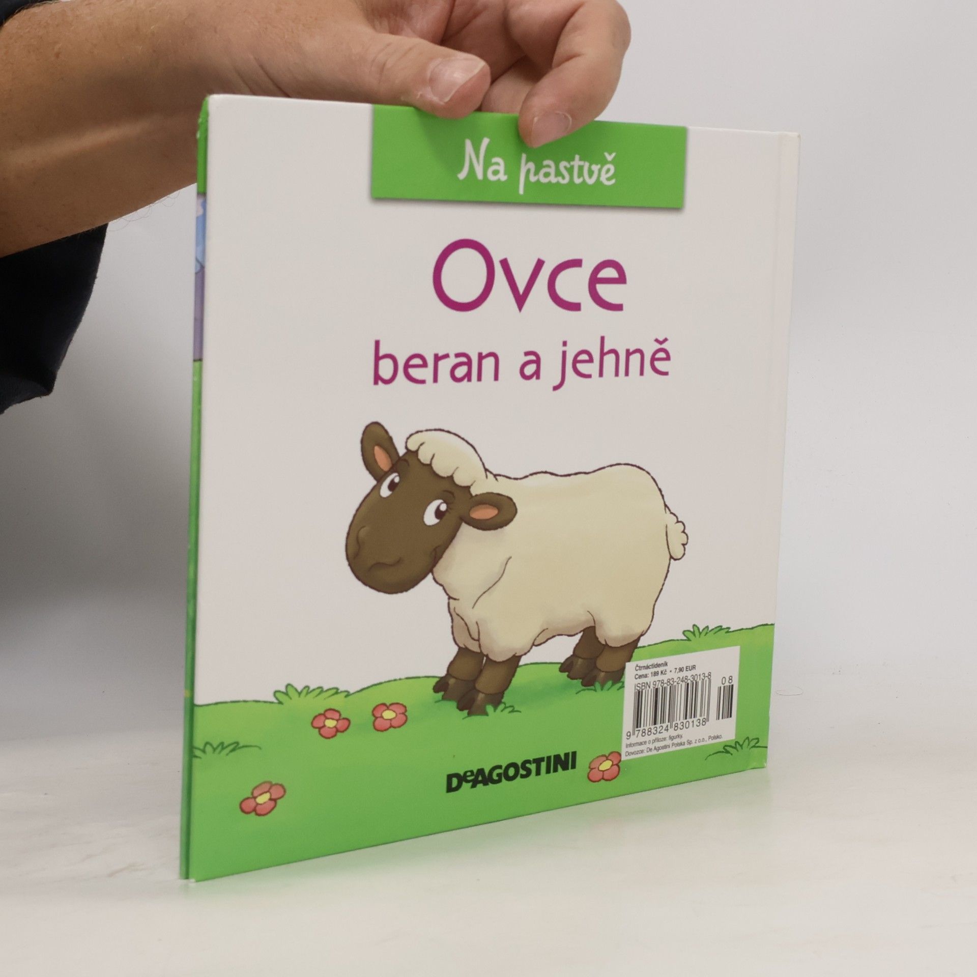 Autorenkollektiv Na pastvě 53. Ovce