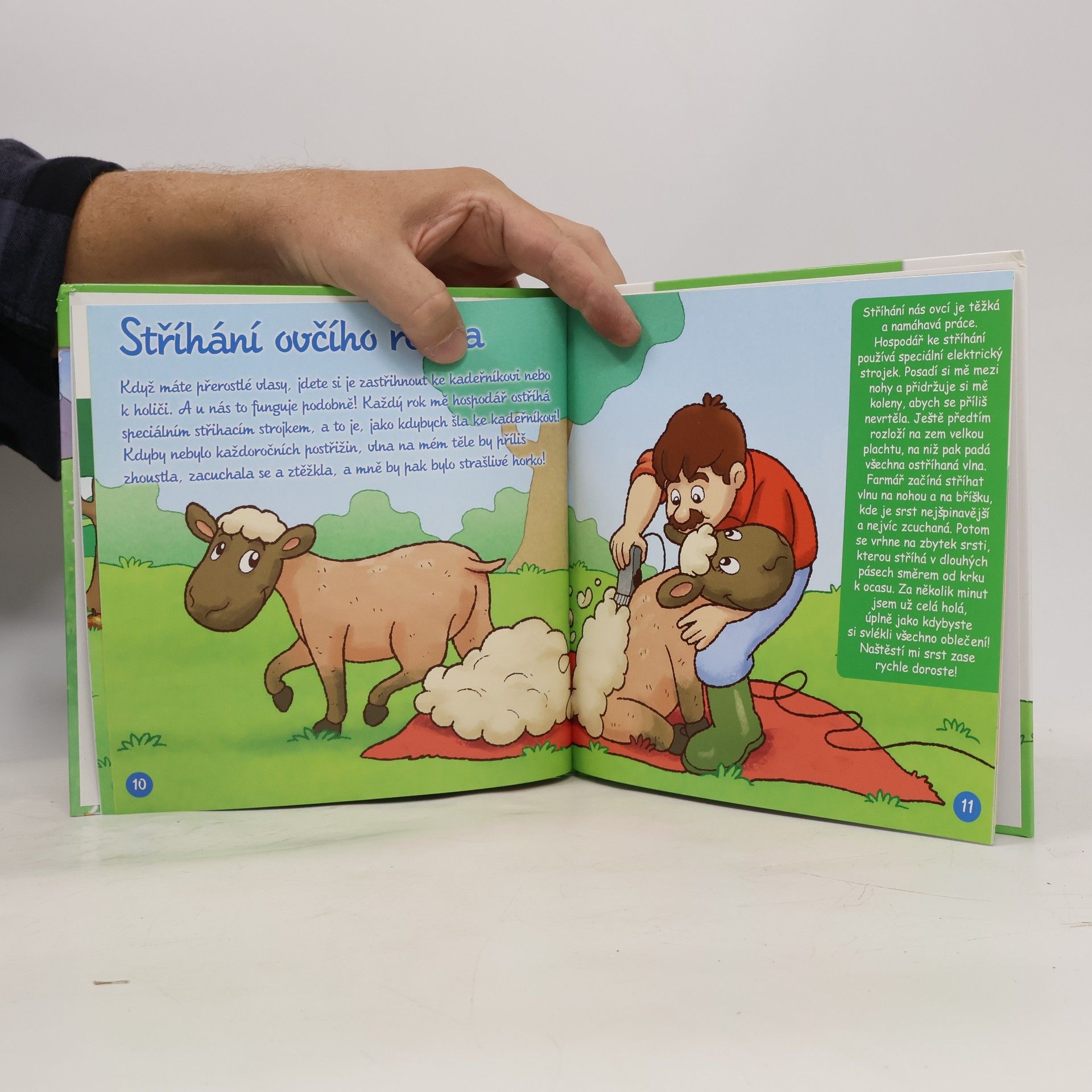 Autorenkollektiv Na pastvě 53. Ovce