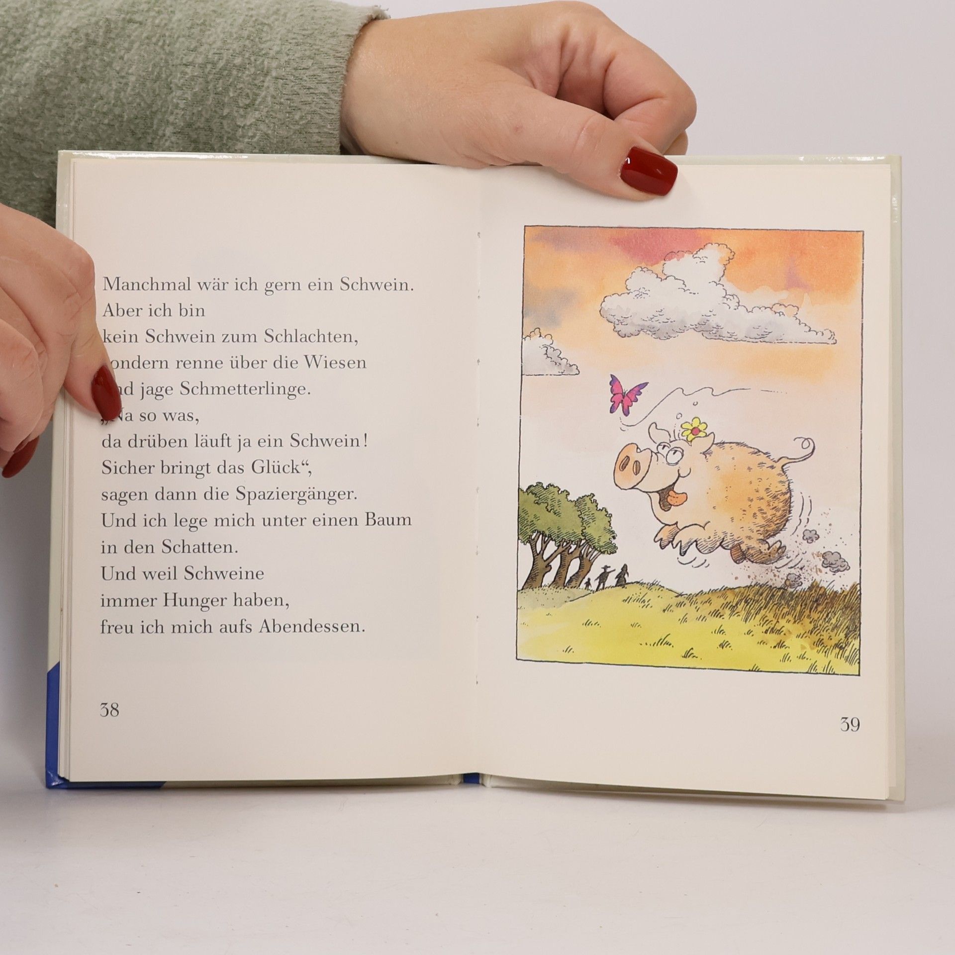 Dietl, Erhard Manchmal wär ich gern ein Tiger (Druckschrift)