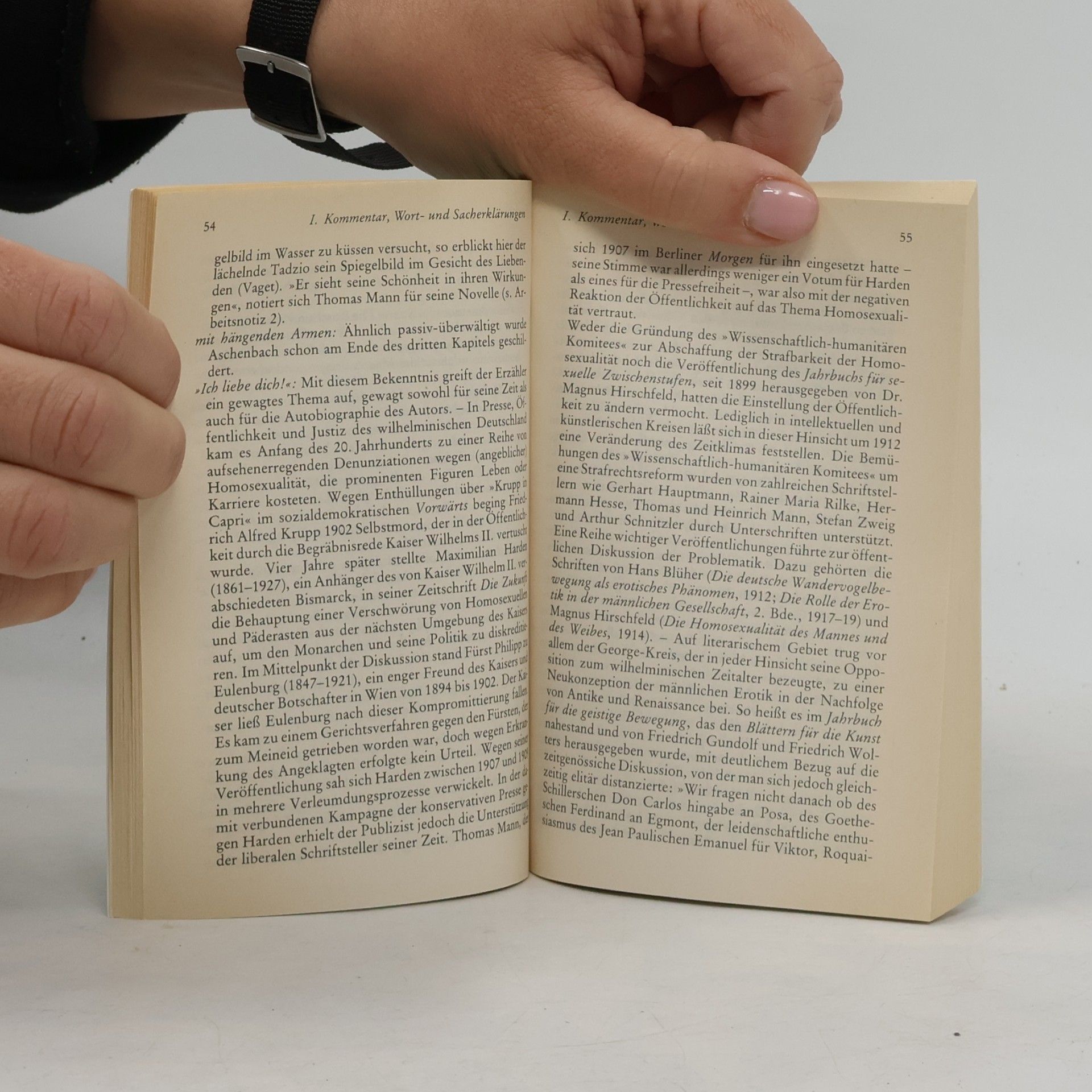 Ehrhard Bahr Thomas Mann, Der Tod in Venedig