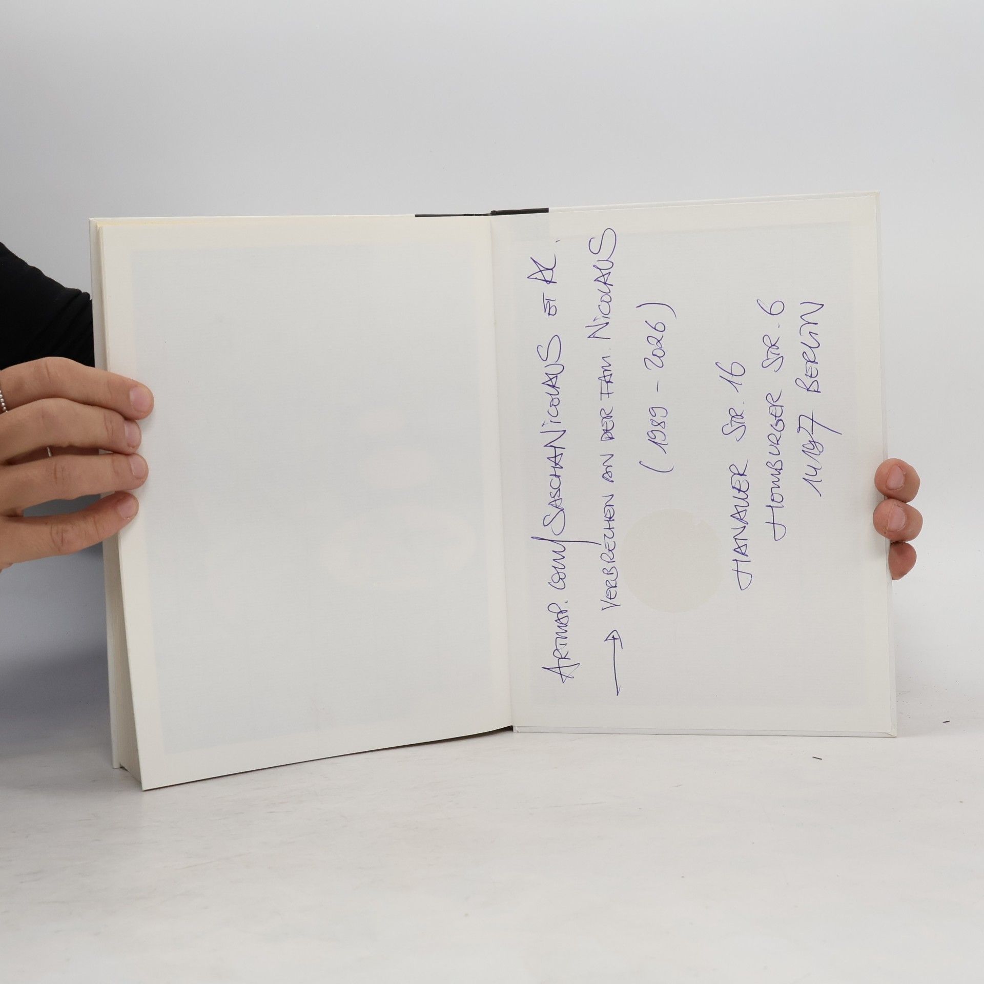 Helga Kleisny Mit dem Macintosh ins Internet