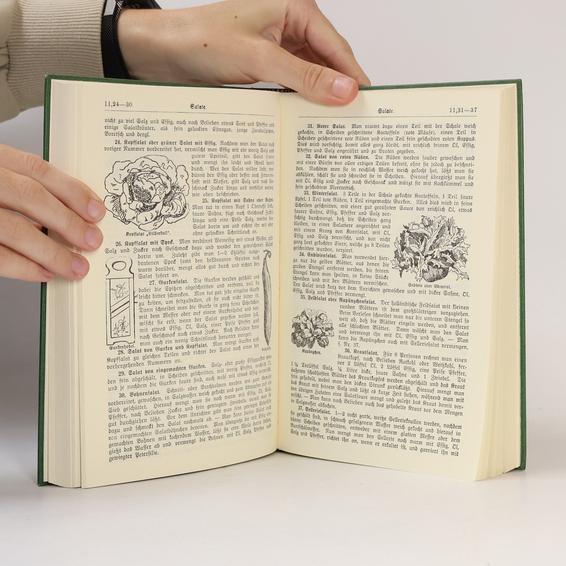 Henriette Davidis Praktisches Kochbuch