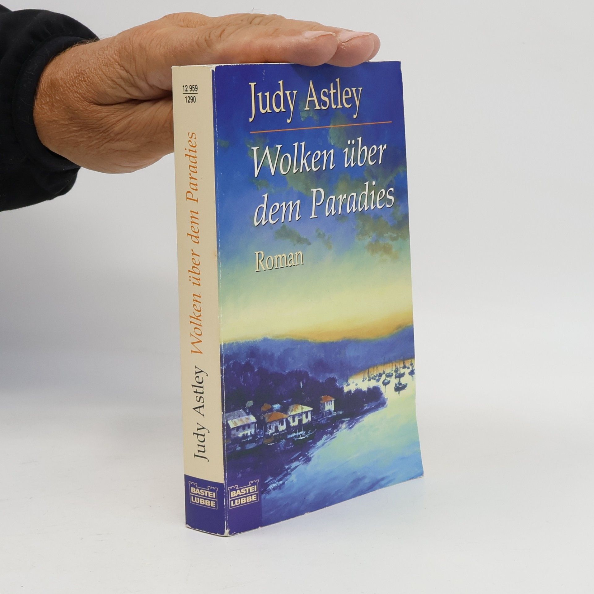 Judy Astley Wolken über dem Paradies. Roman. Aus d. Engl. v. Hedda Pänke