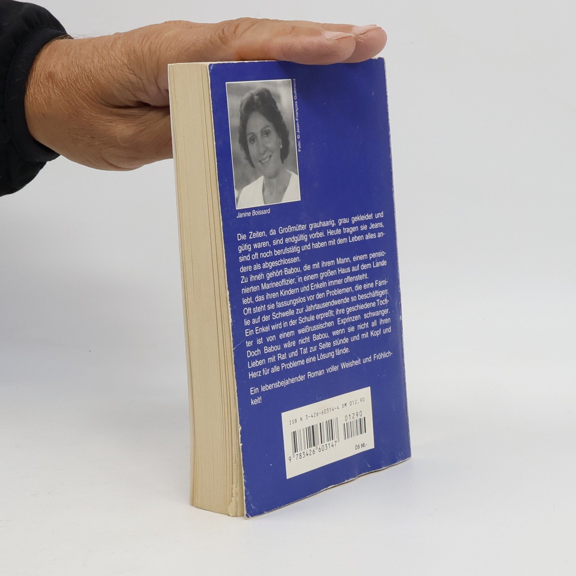 Janine Boissard Ein Haus für die ganze Familie. Roman
