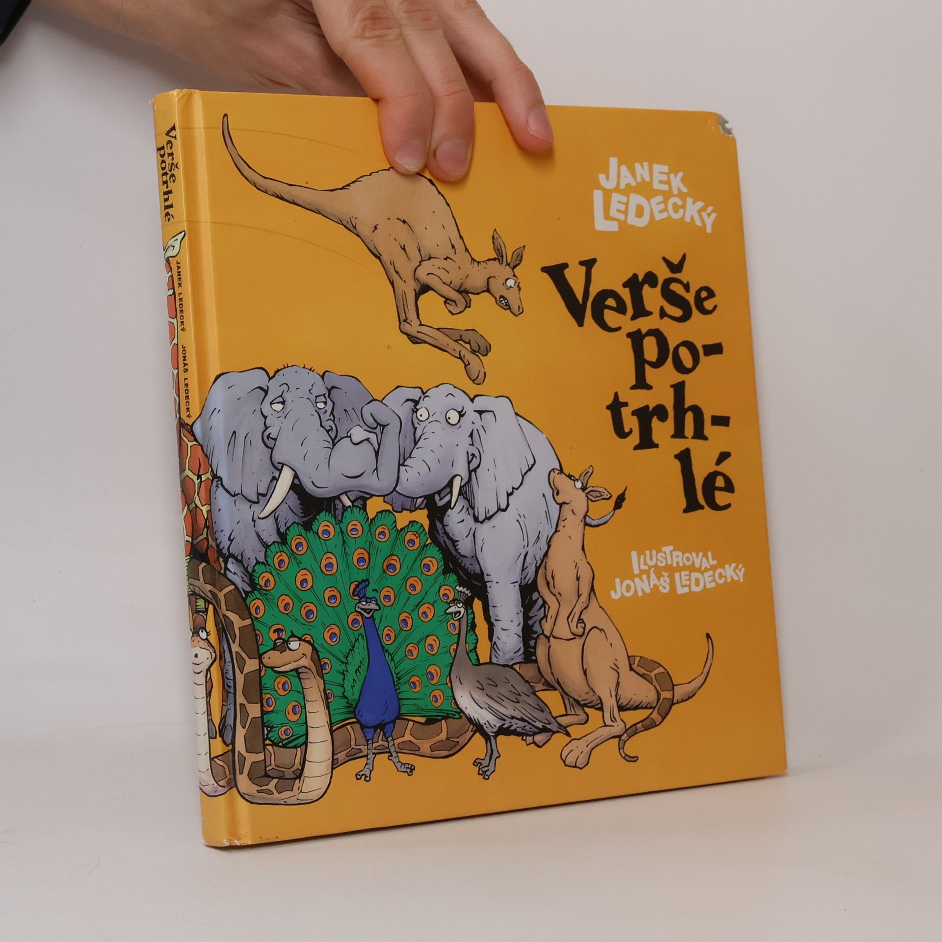 Verše potrhlé