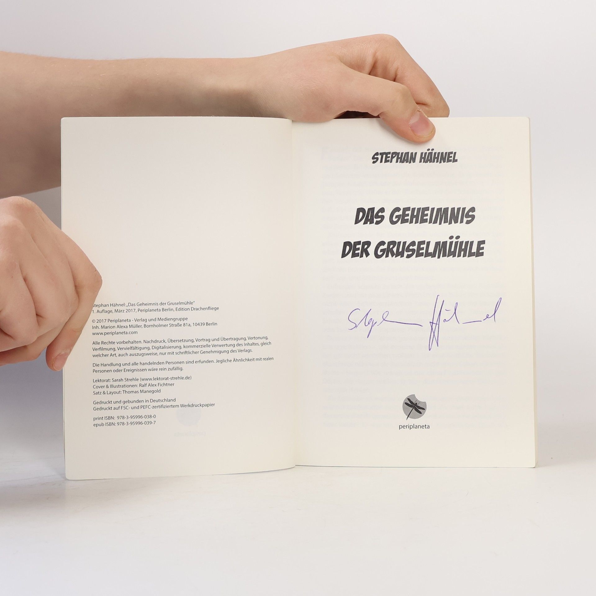 Stephan Hähnel Das Geheimnis der Gruselmühle