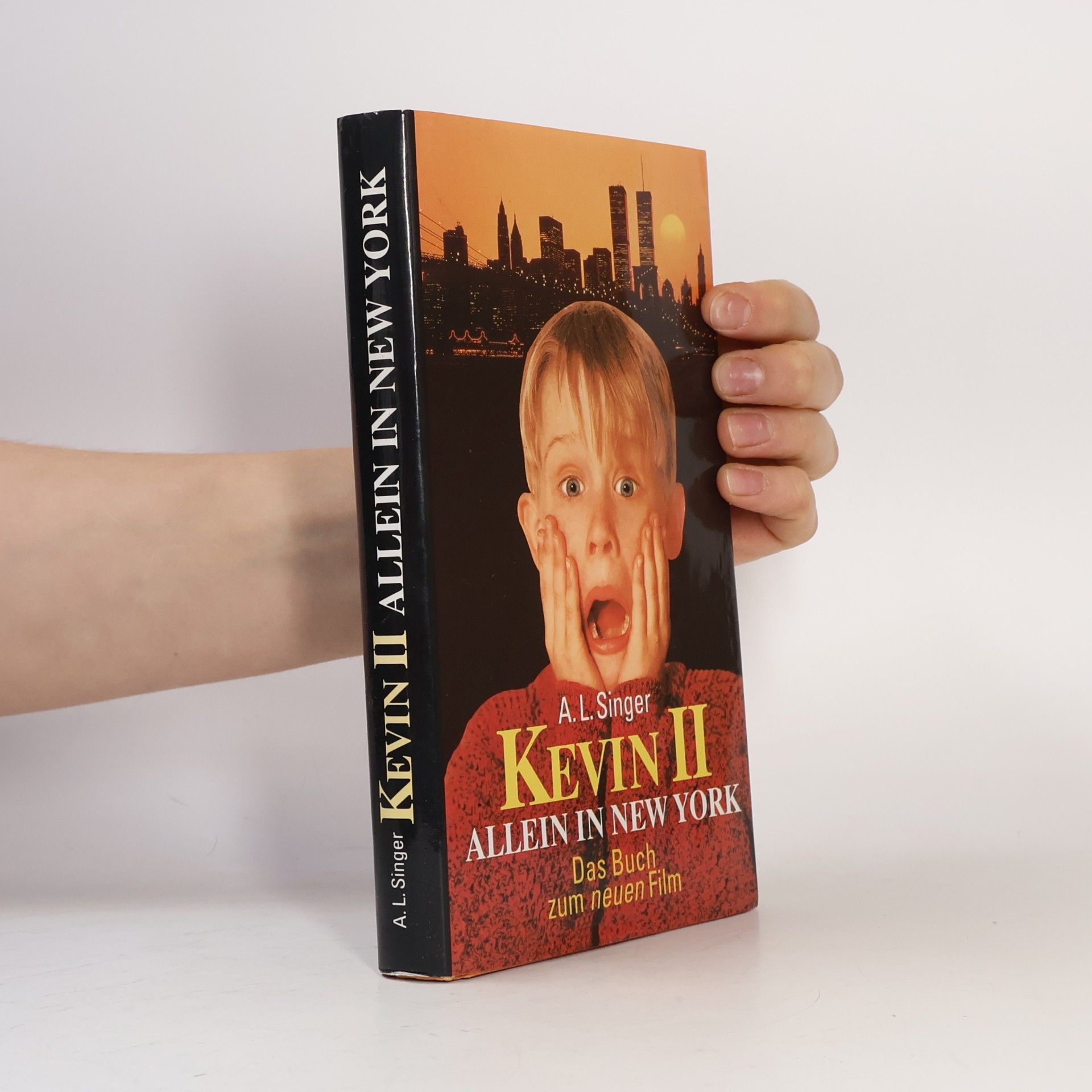Kevin II. Allein in New York